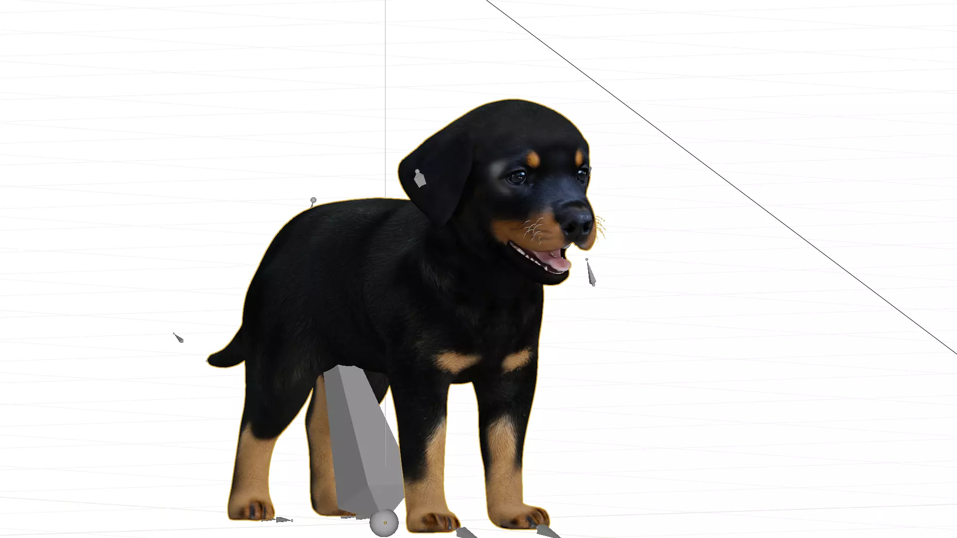 Rottweiler Puppy Dog Low-poly 3D model_33
