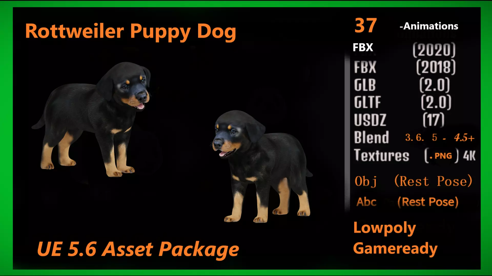 Rottweiler Puppy Dog Low-poly 3D model_3