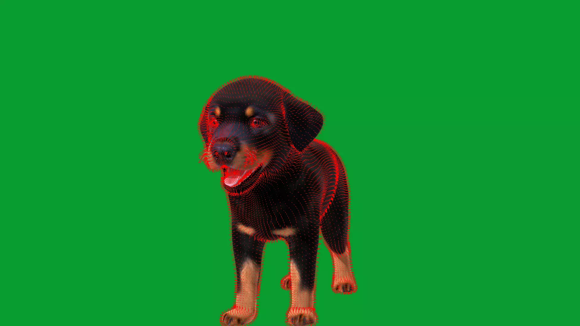 Rottweiler Puppy Dog Low-poly 3D model_55