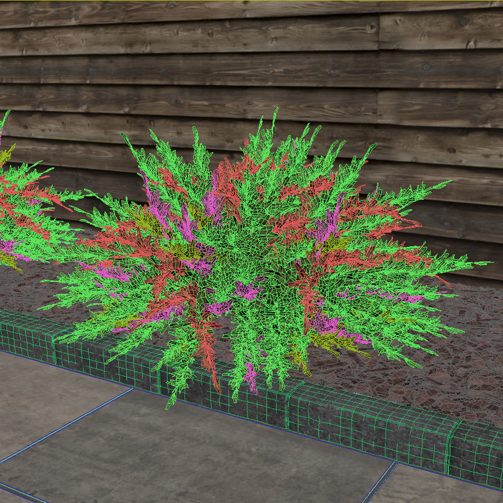 Savin Juniper - Juniperus sabina 3D model_6