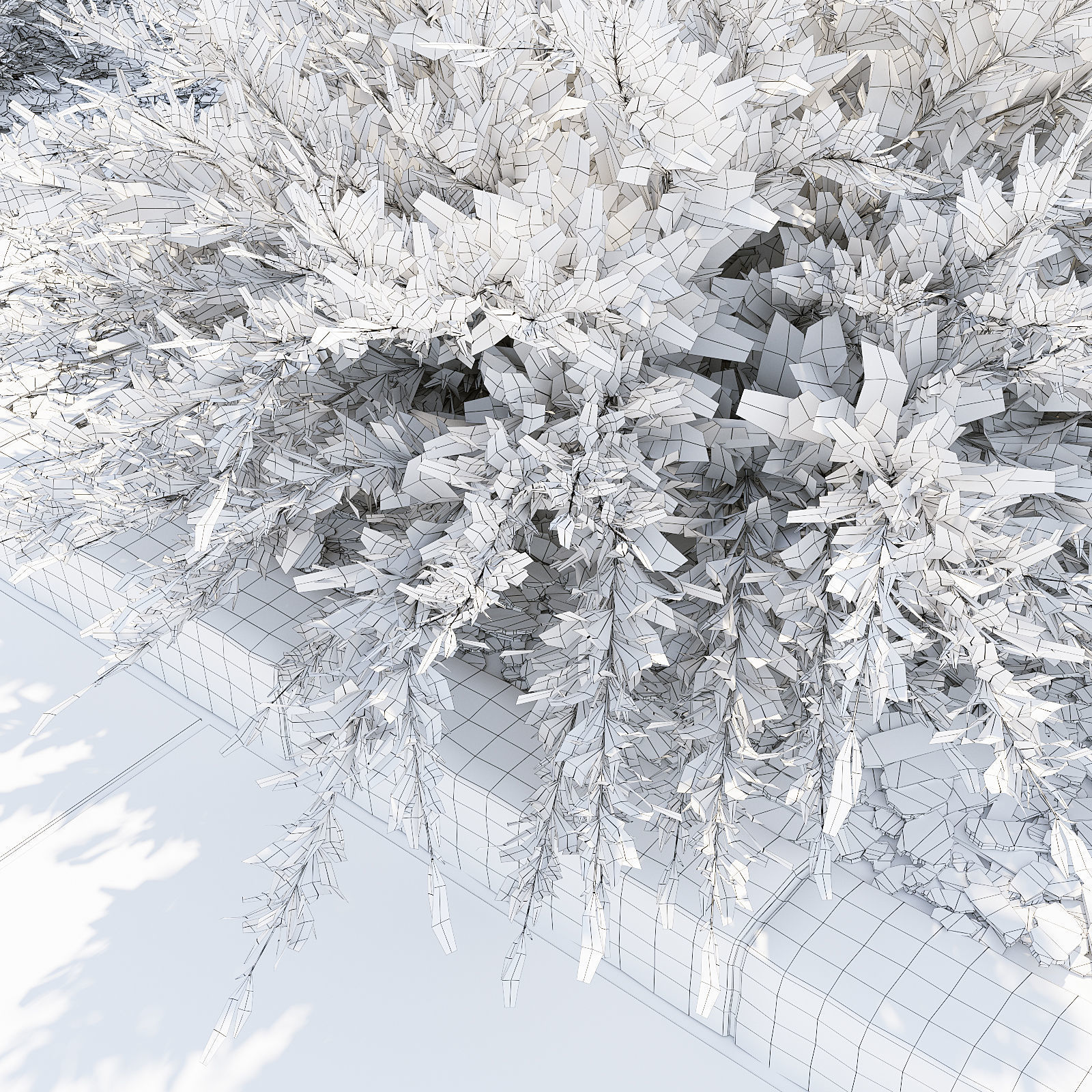 Savin Juniper - Juniperus sabina 3D model_5