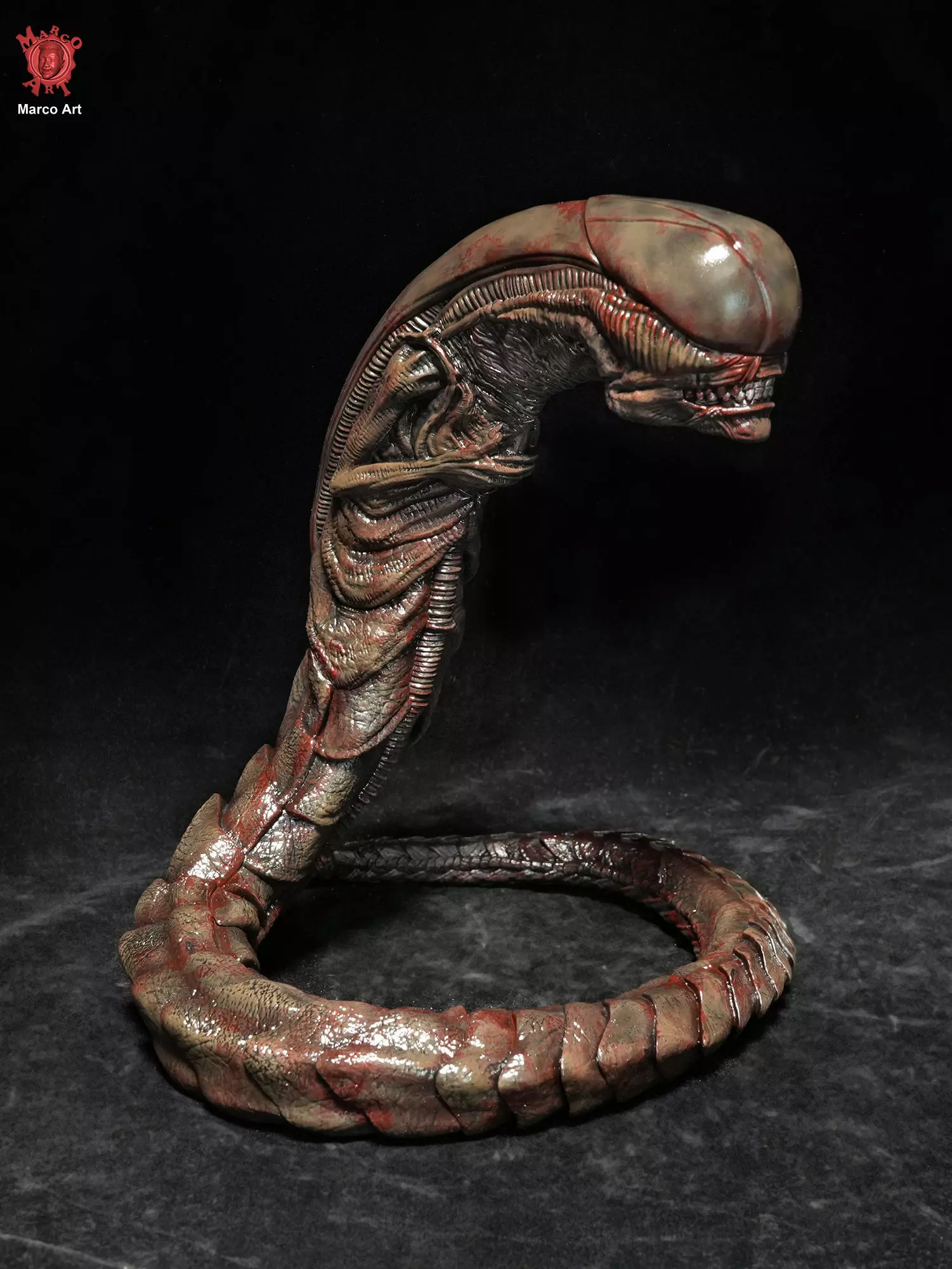 Alien Chestburster 3d stl file 3D print model 3D print model_0