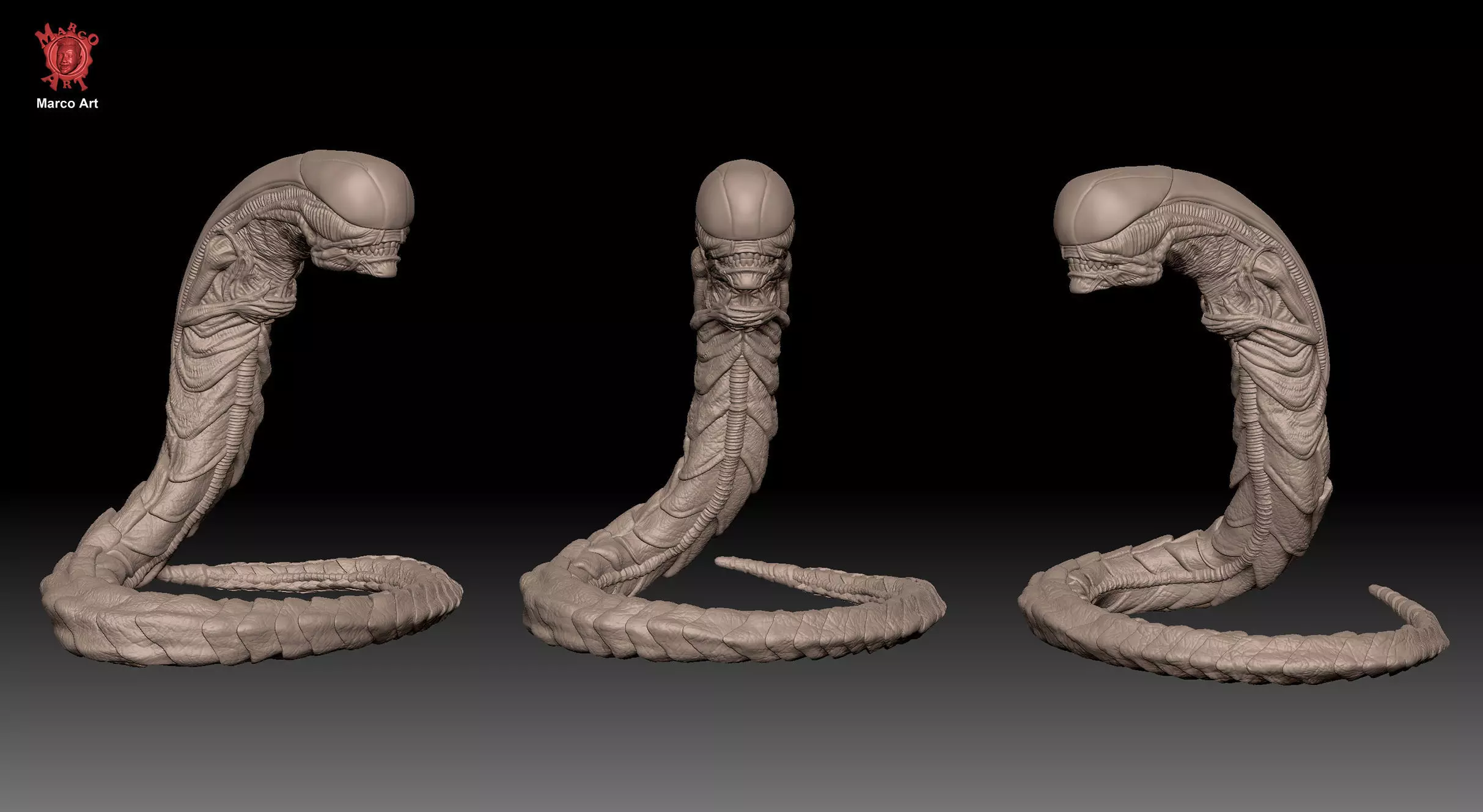Alien Chestburster 3d stl file 3D print model 3D print model_1