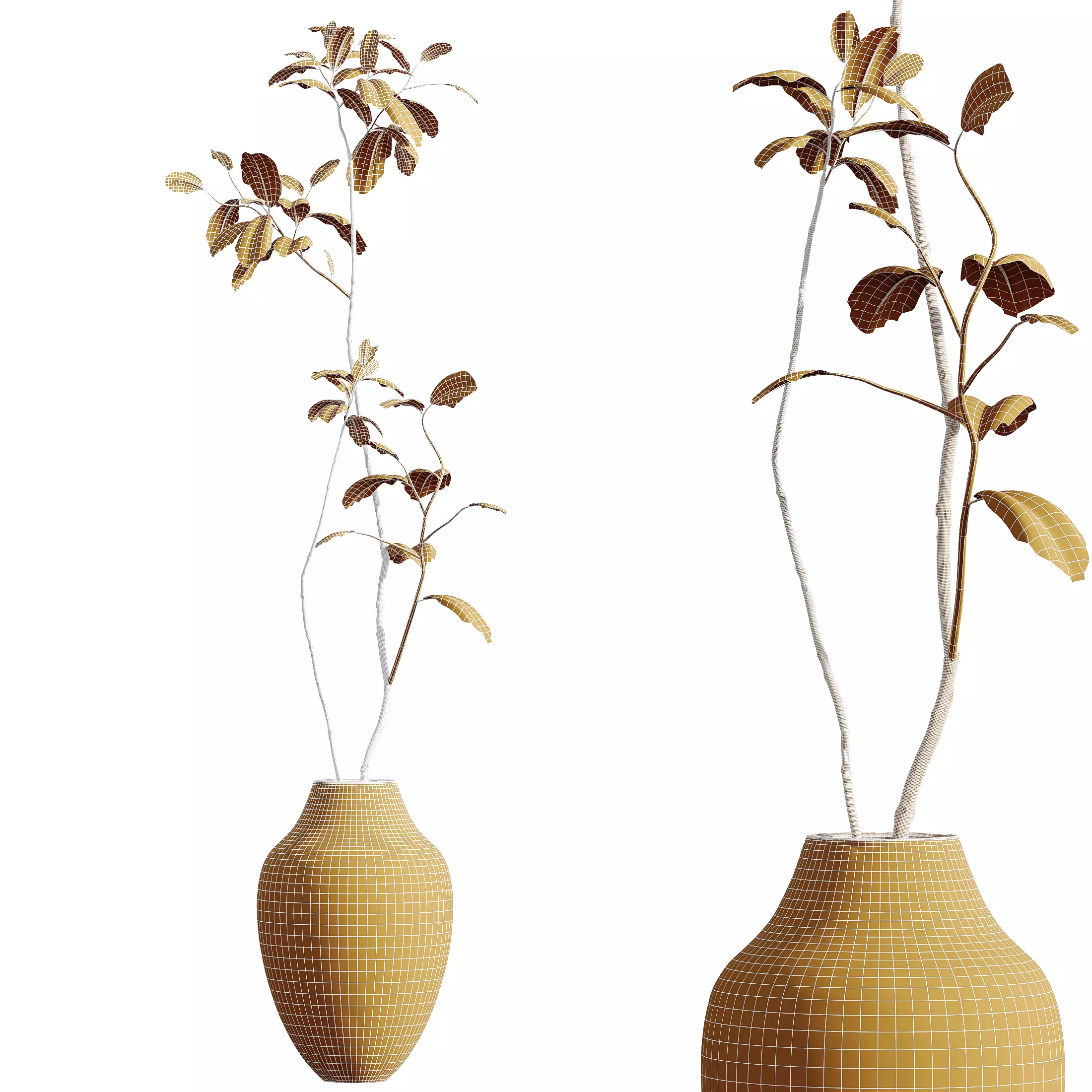 AV Indoor Plants Set 321 Japandi Minimalism Ficus Marginata 3D model_11