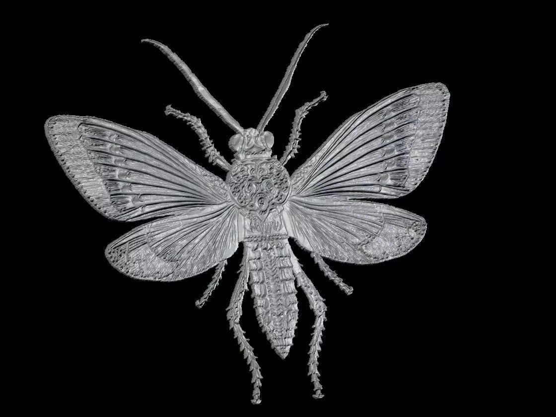Ornate Grasshopper Pendant Sculpture 3D print model_5