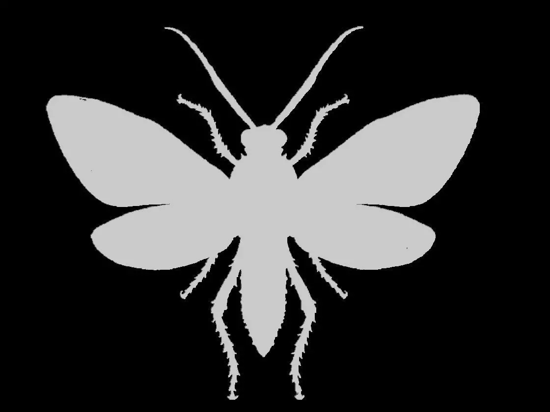 Ornate Grasshopper Pendant Sculpture 3D print model_6