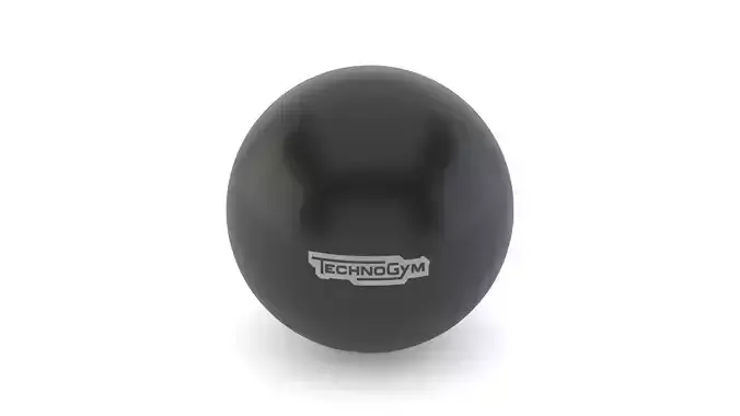 Technogym Accessories Wellness Ball 3D model