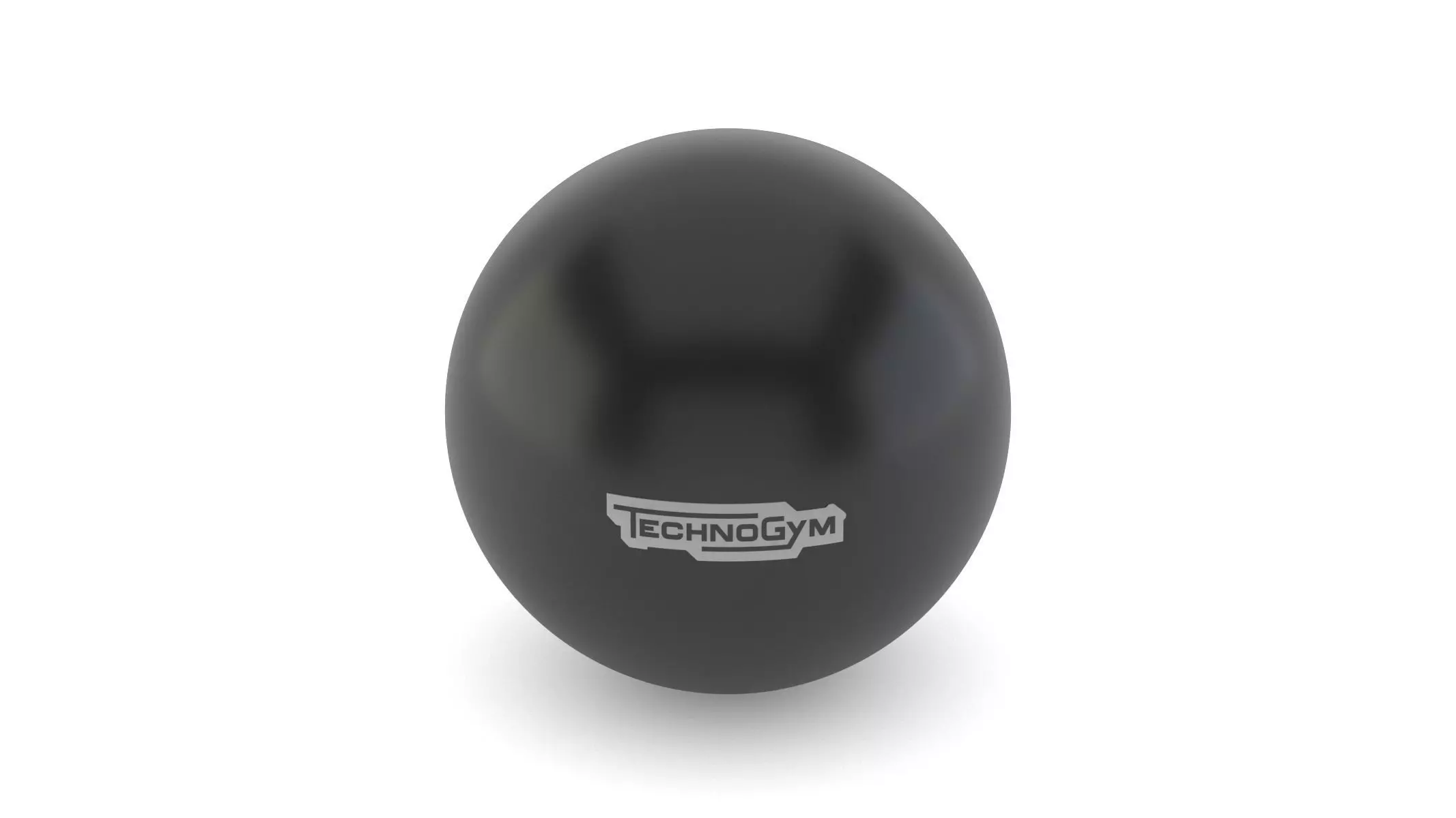 Technogym Accessories Wellness Ball 3D model