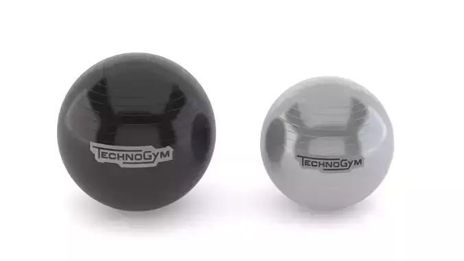 Technogym Accessories Wellness Ball Training