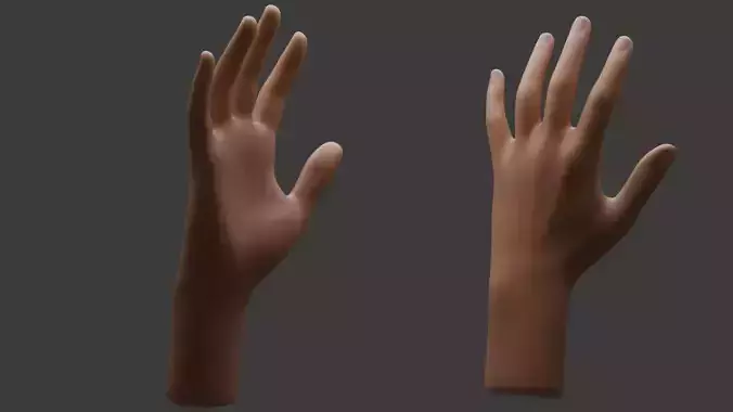 Realistic Hand Model