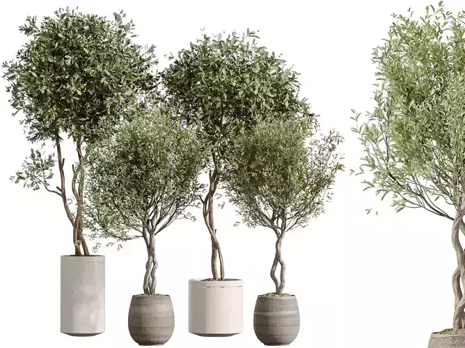 AV Indoor Plants Set 323 Olive Artificial Tree