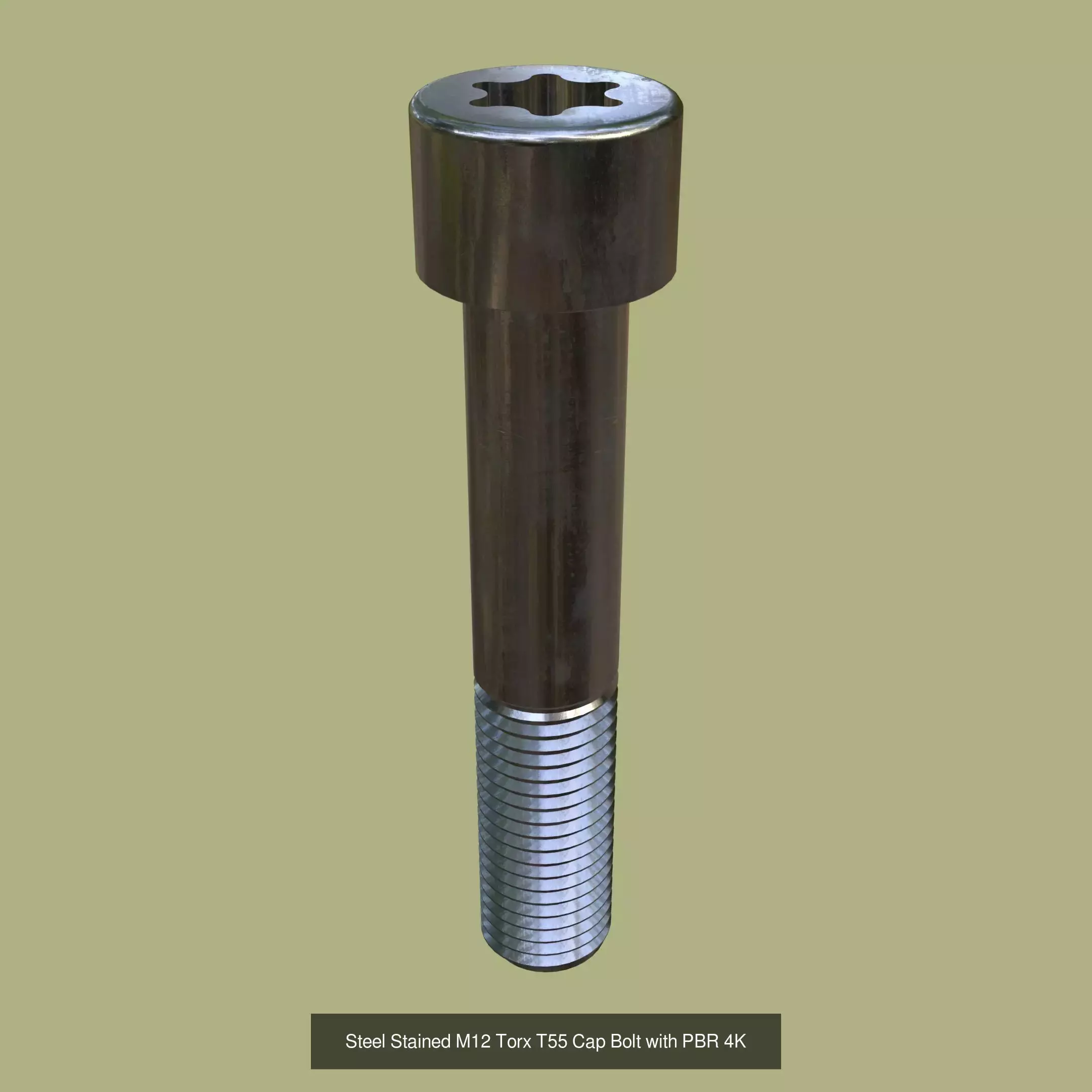 Collection of Steel Stained Torx Cap Bolts _8