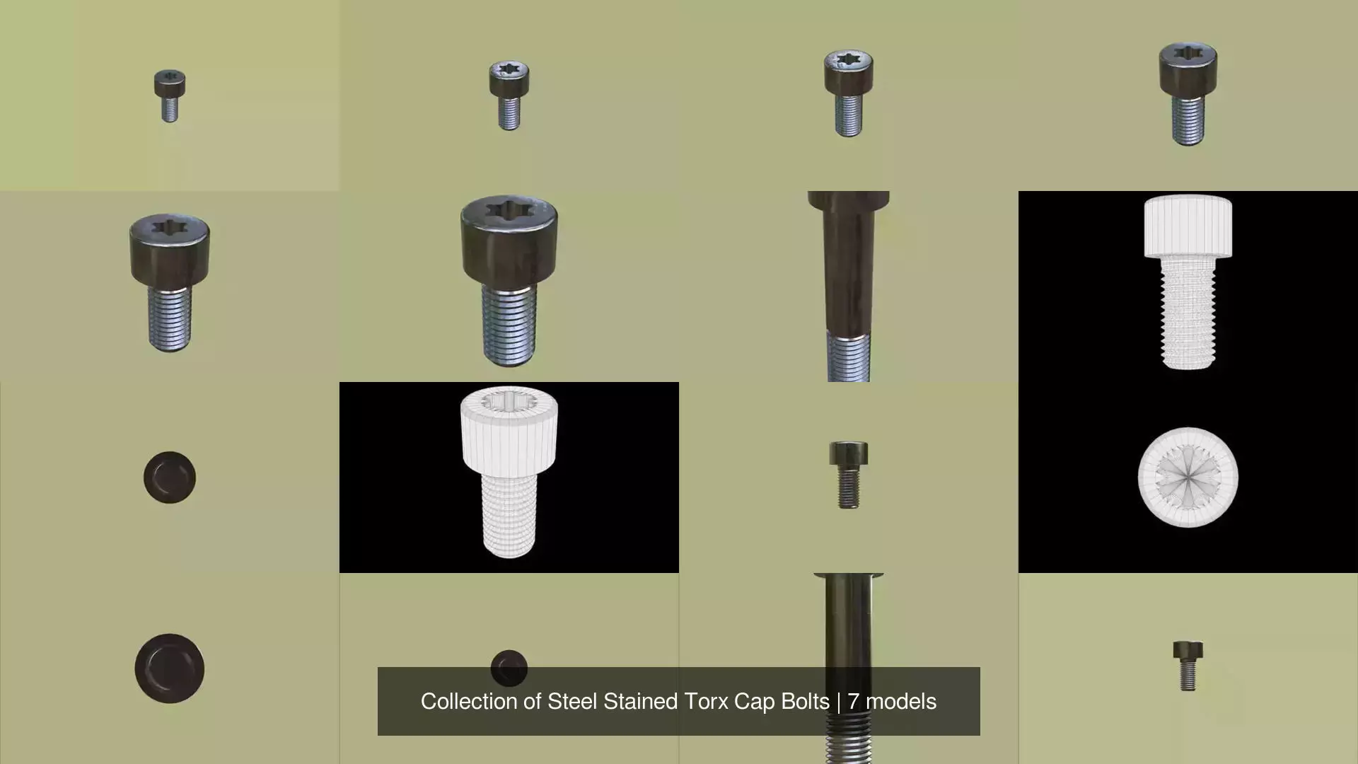 Collection of Steel Stained Torx Cap Bolts _1