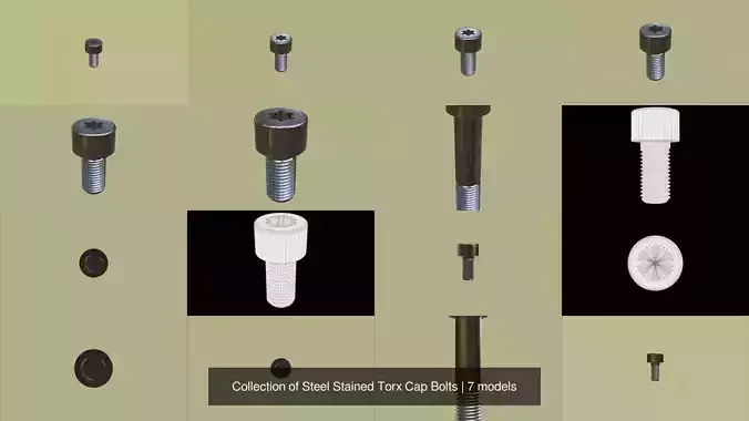 Collection of Steel Stained Torx Cap Bolts