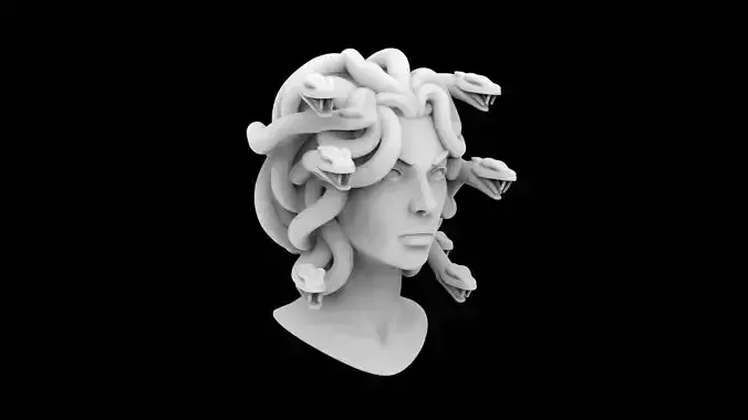 Medusa 3D Print Model 3D print model