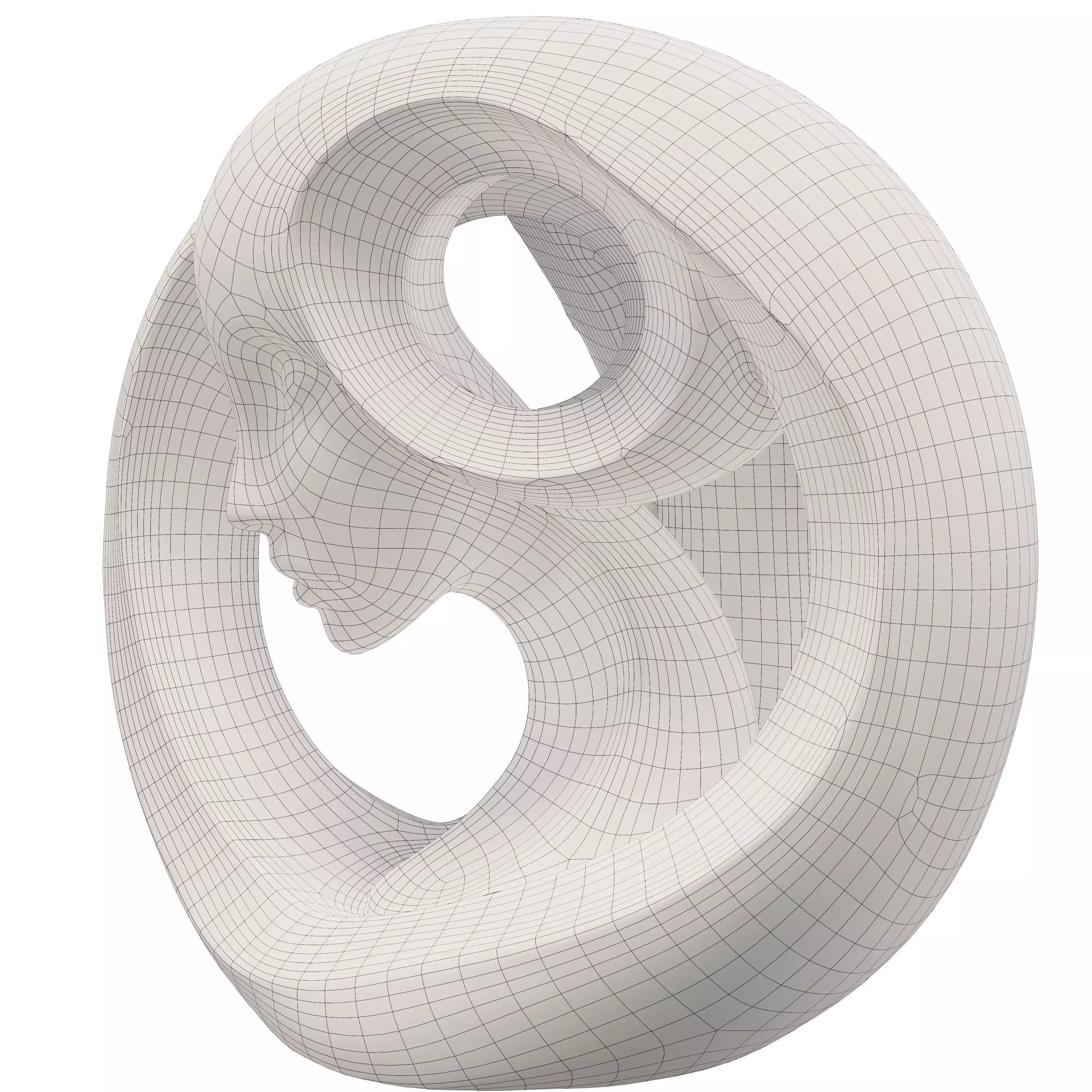 Abstract Profile Flowing Form Sculpture  3D model_6