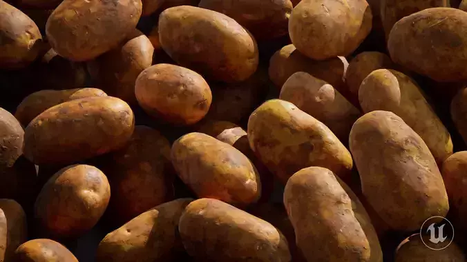 Freshly cut farm potatoes