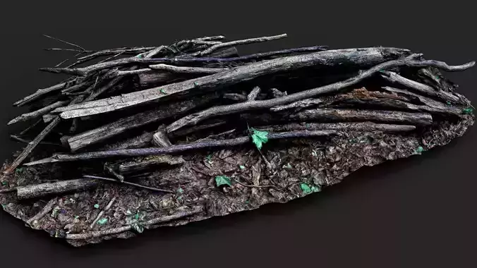 dry branches pile forest ground PBR photogrammetry