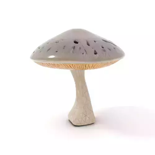 Golden Textured Mushroom model pack Low-poly 3D model