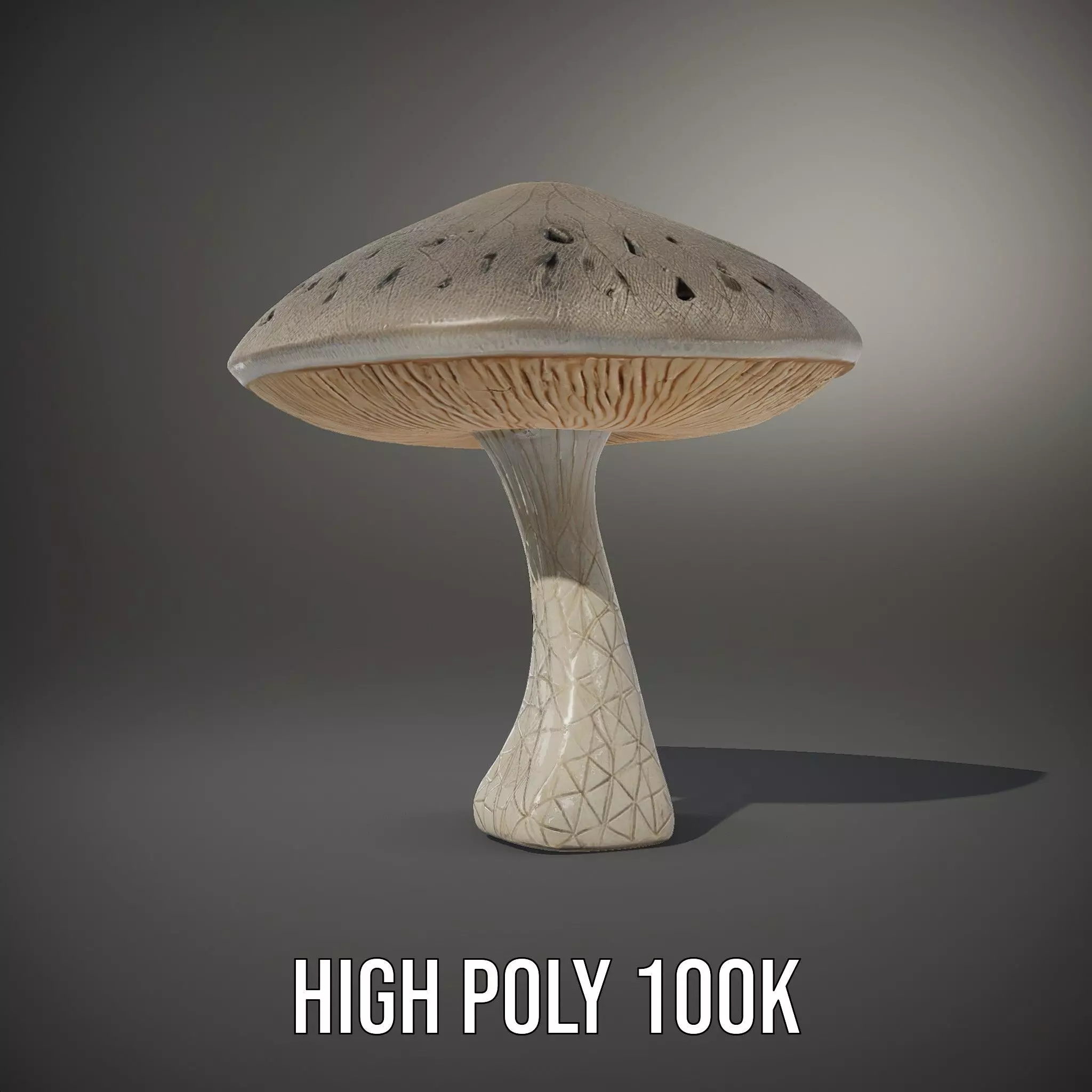 Golden Textured Mushroom model pack Low-poly 3D model_11