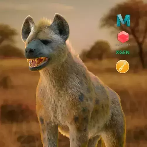 Realistic Spotted Hyena Hyena Rig with Animation