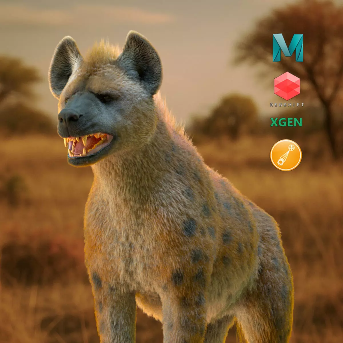 Realistic Spotted Hyena Hyena Rig with Animation Low-poly 3D model_0