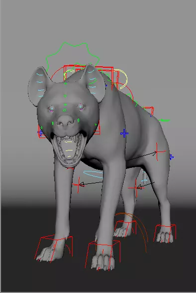 Realistic Spotted Hyena Hyena Rig with Animation Low-poly 3D model_7