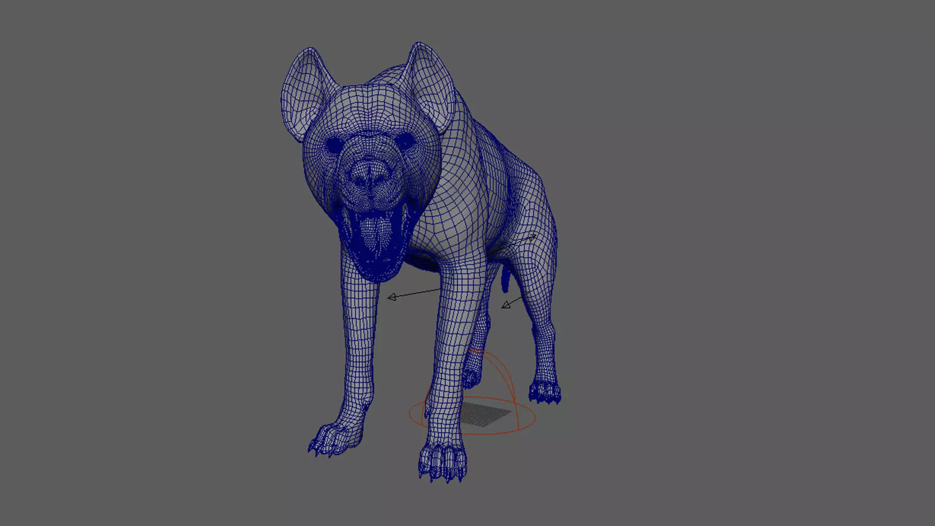 Realistic Spotted Hyena Hyena Rig with Animation Low-poly 3D model_8