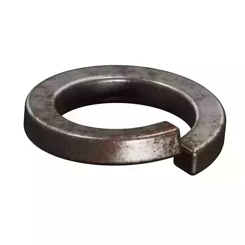 Rusty Spring Washer