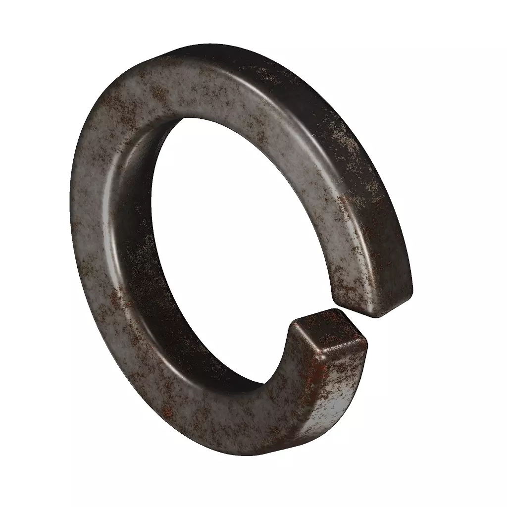 Rusty Spring Washer Low-poly 3D model_1