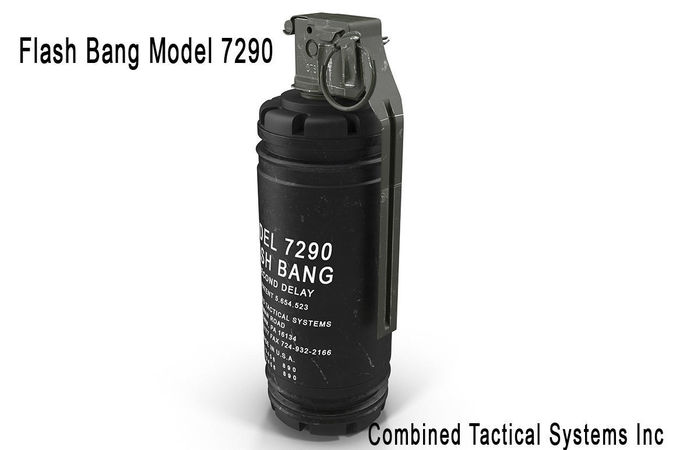 Flash Bang Model 7290 3D model