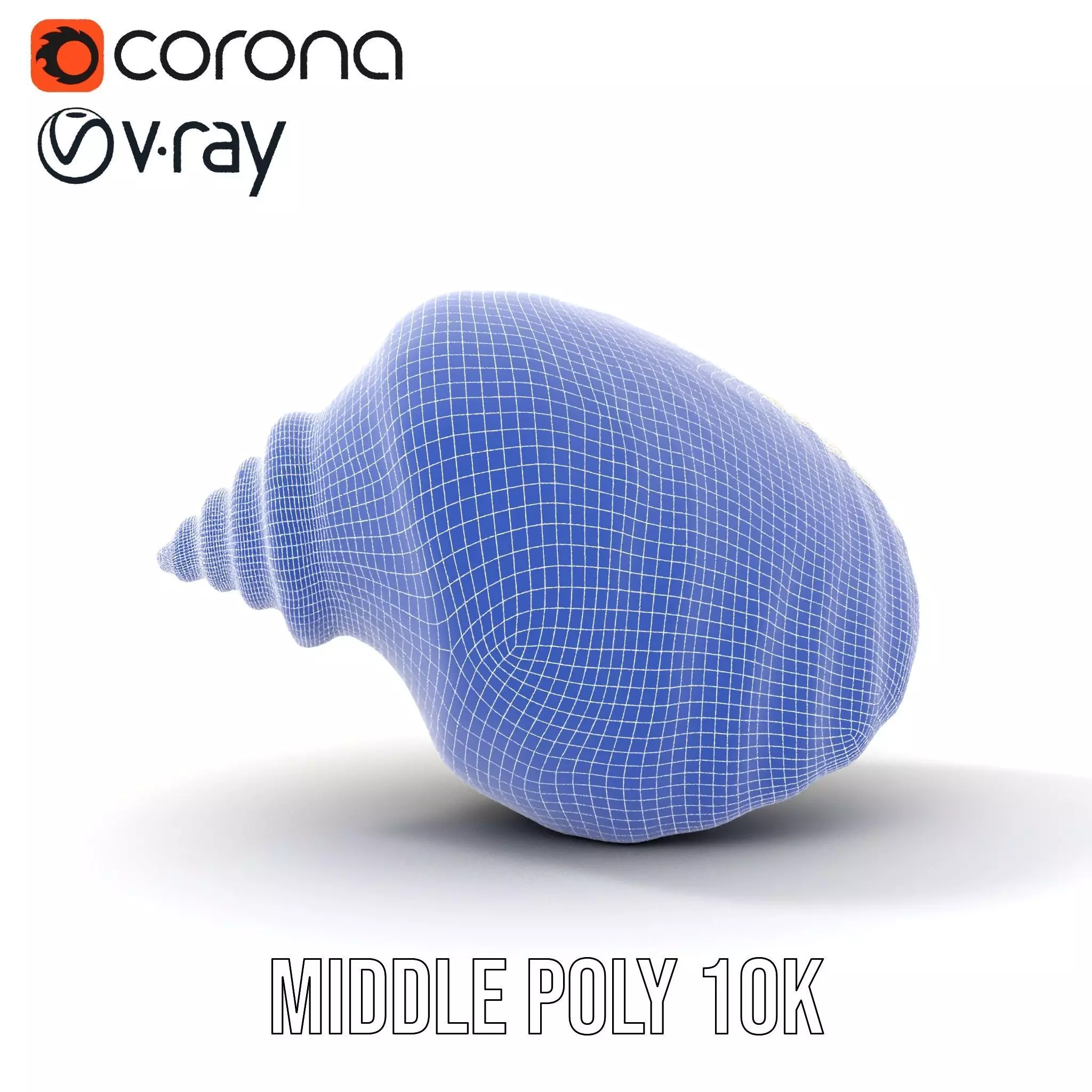 Elegant Ivory Seashell model pack Low-poly 3D model_25