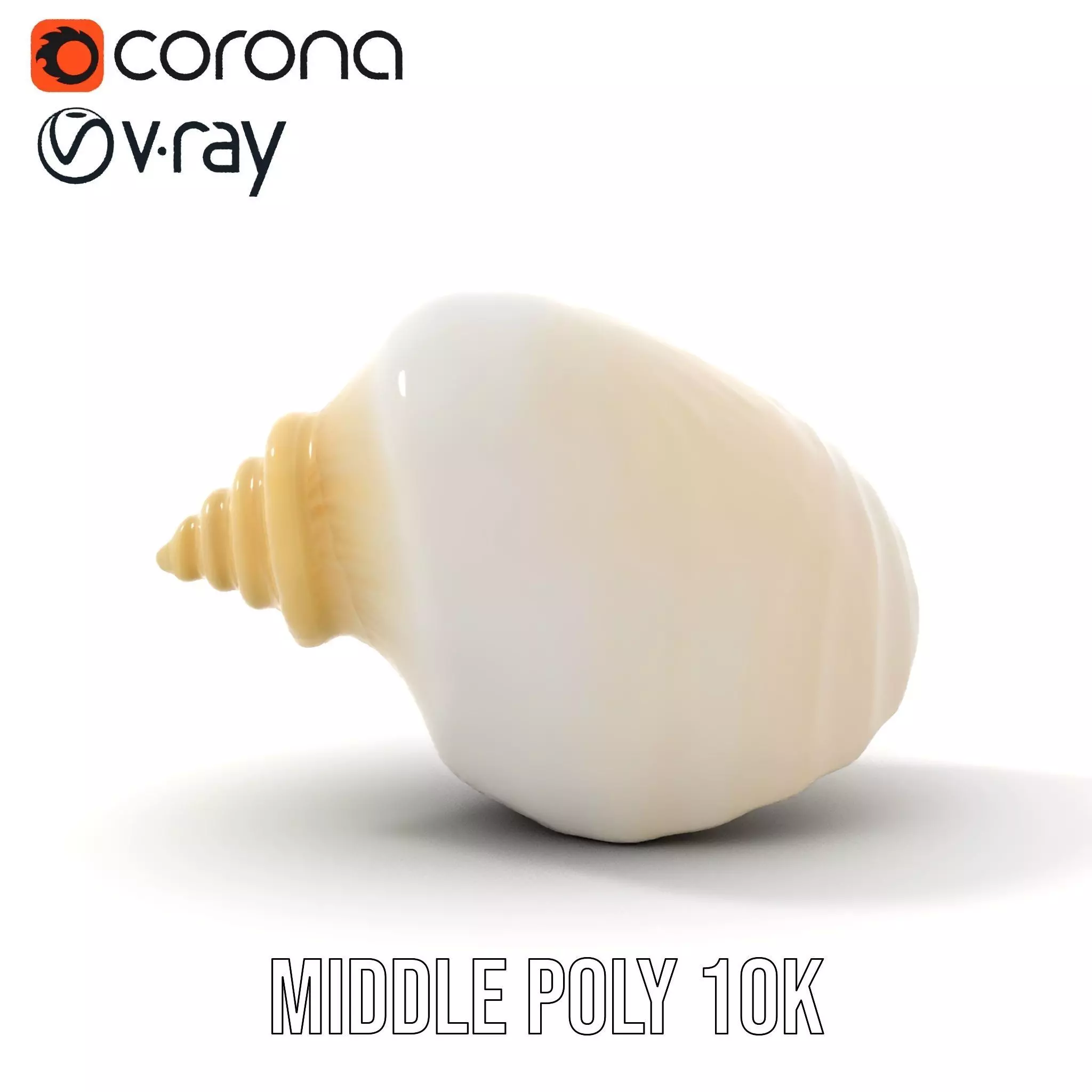 Elegant Ivory Seashell model pack Low-poly 3D model_17