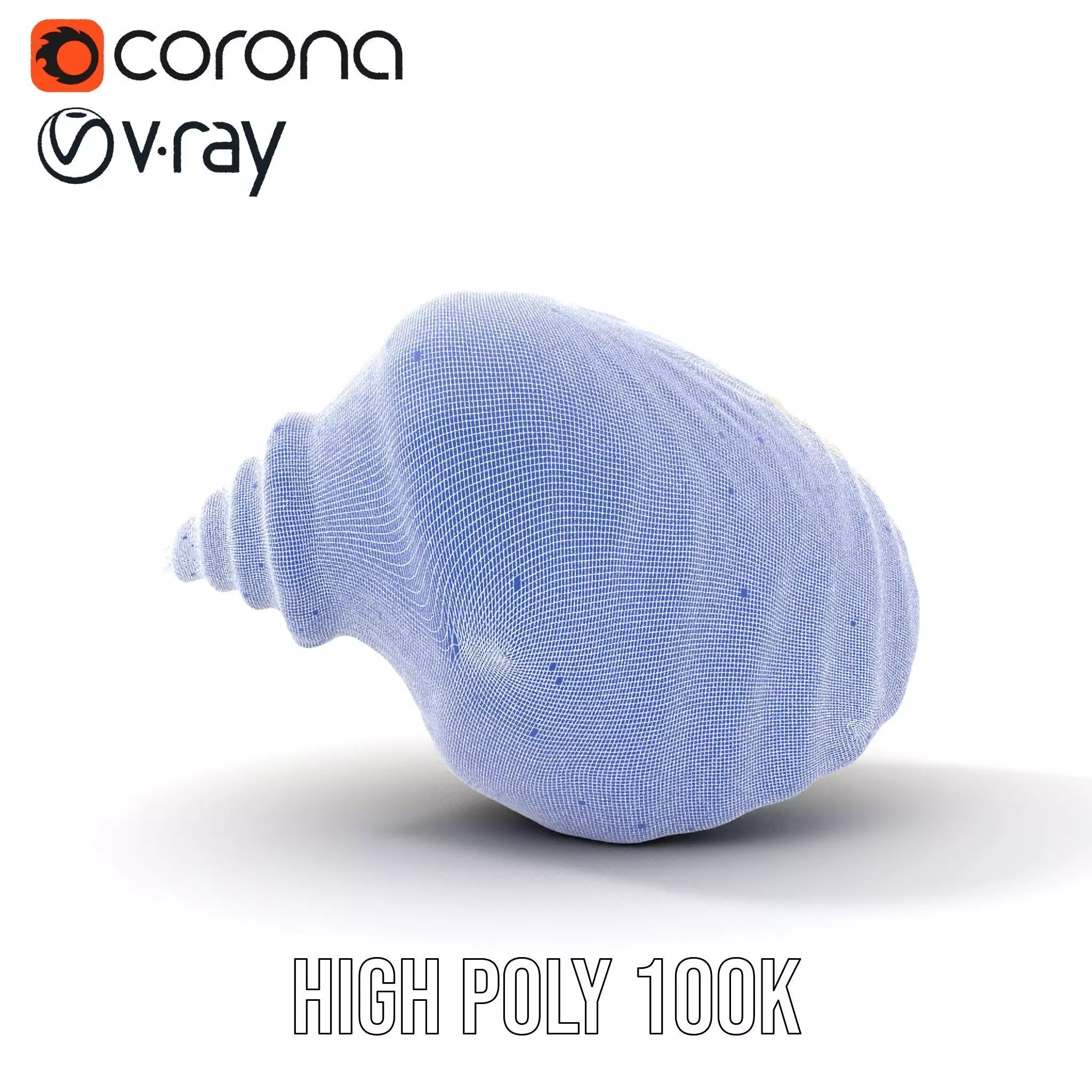 Elegant Ivory Seashell model pack Low-poly 3D model_35
