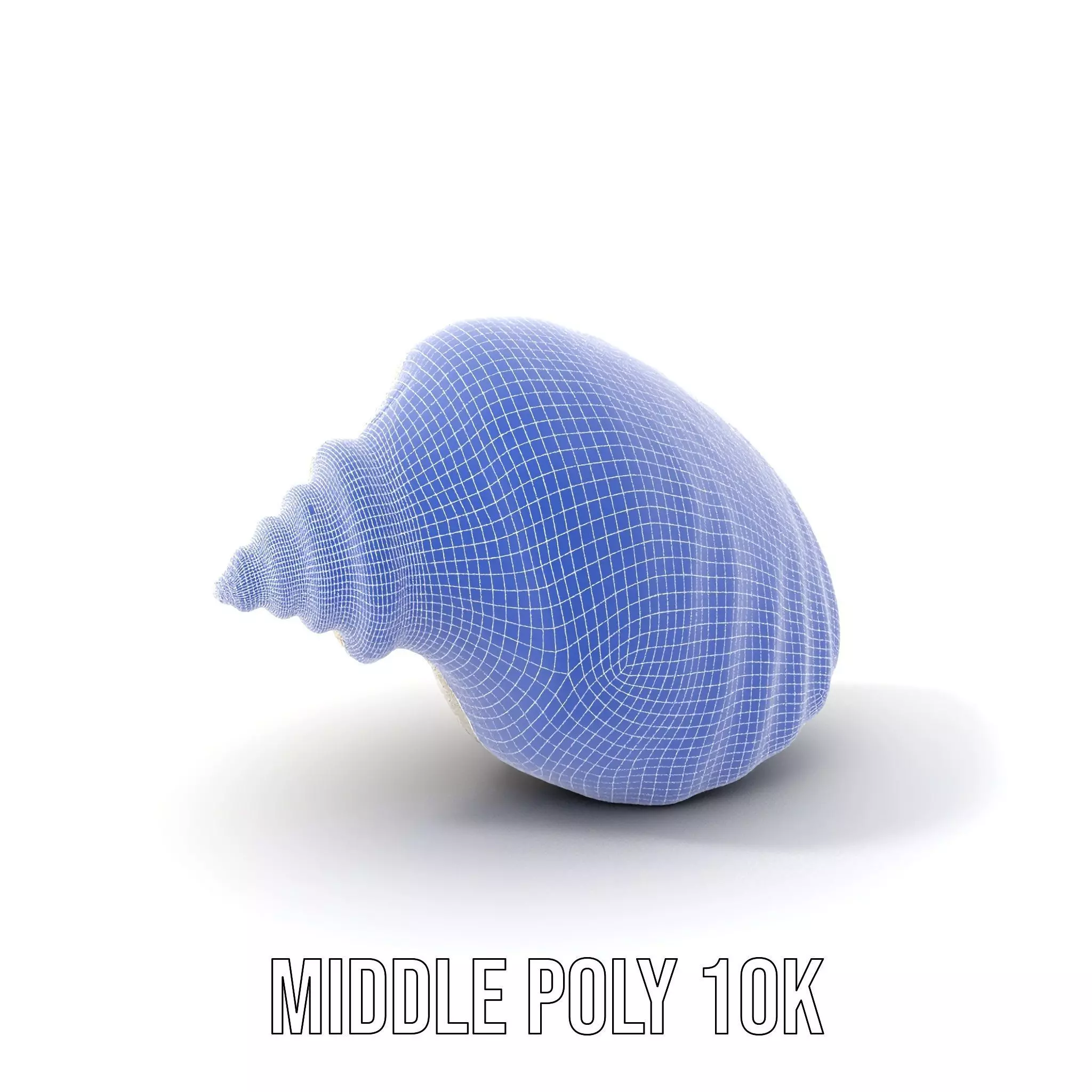 Elegant Ivory Seashell model pack Low-poly 3D model_20
