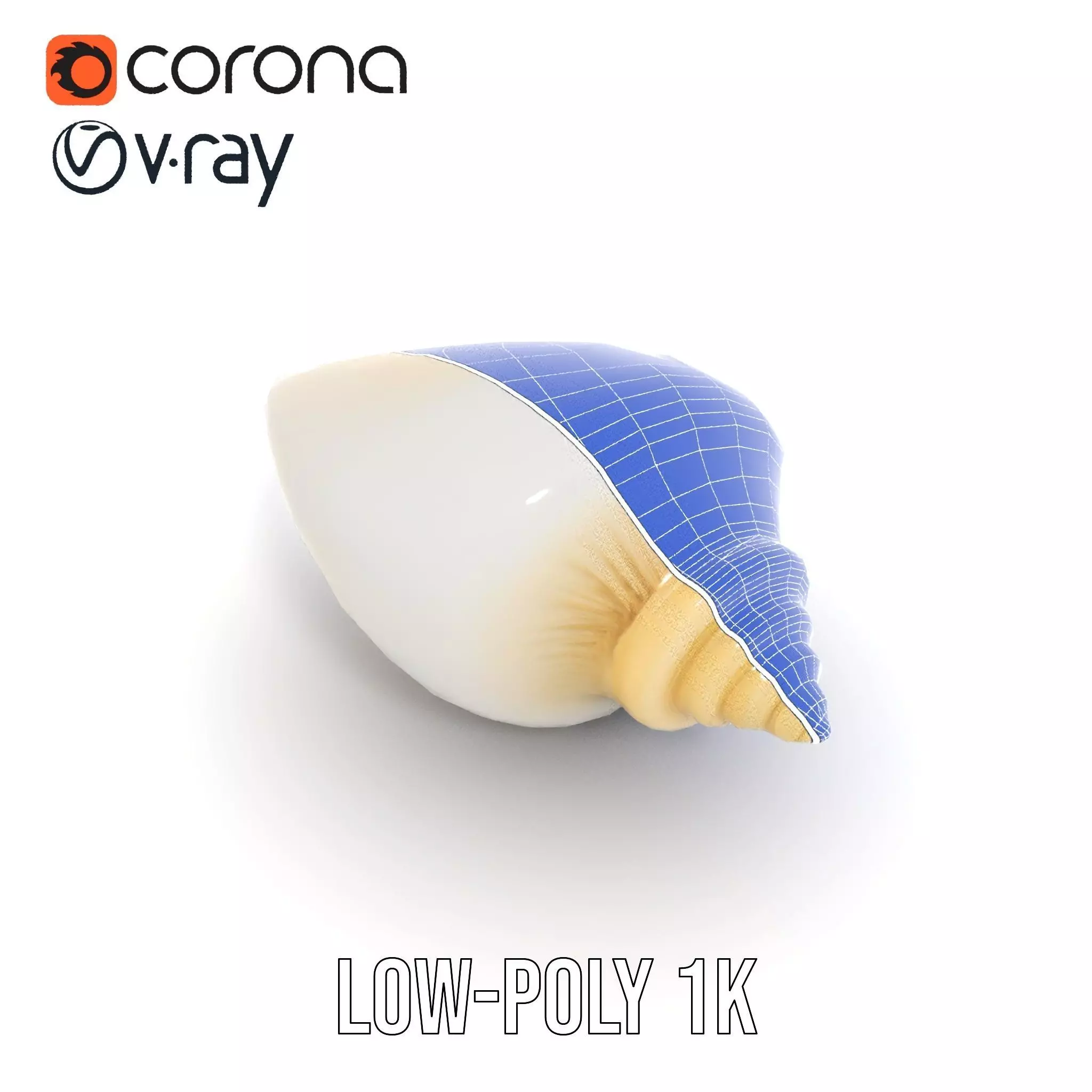 Elegant Ivory Seashell model pack Low-poly 3D model_26