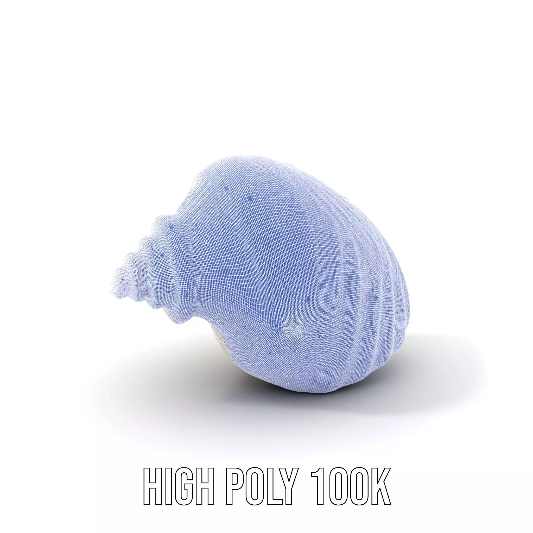 Elegant Ivory Seashell model pack Low-poly 3D model_5
