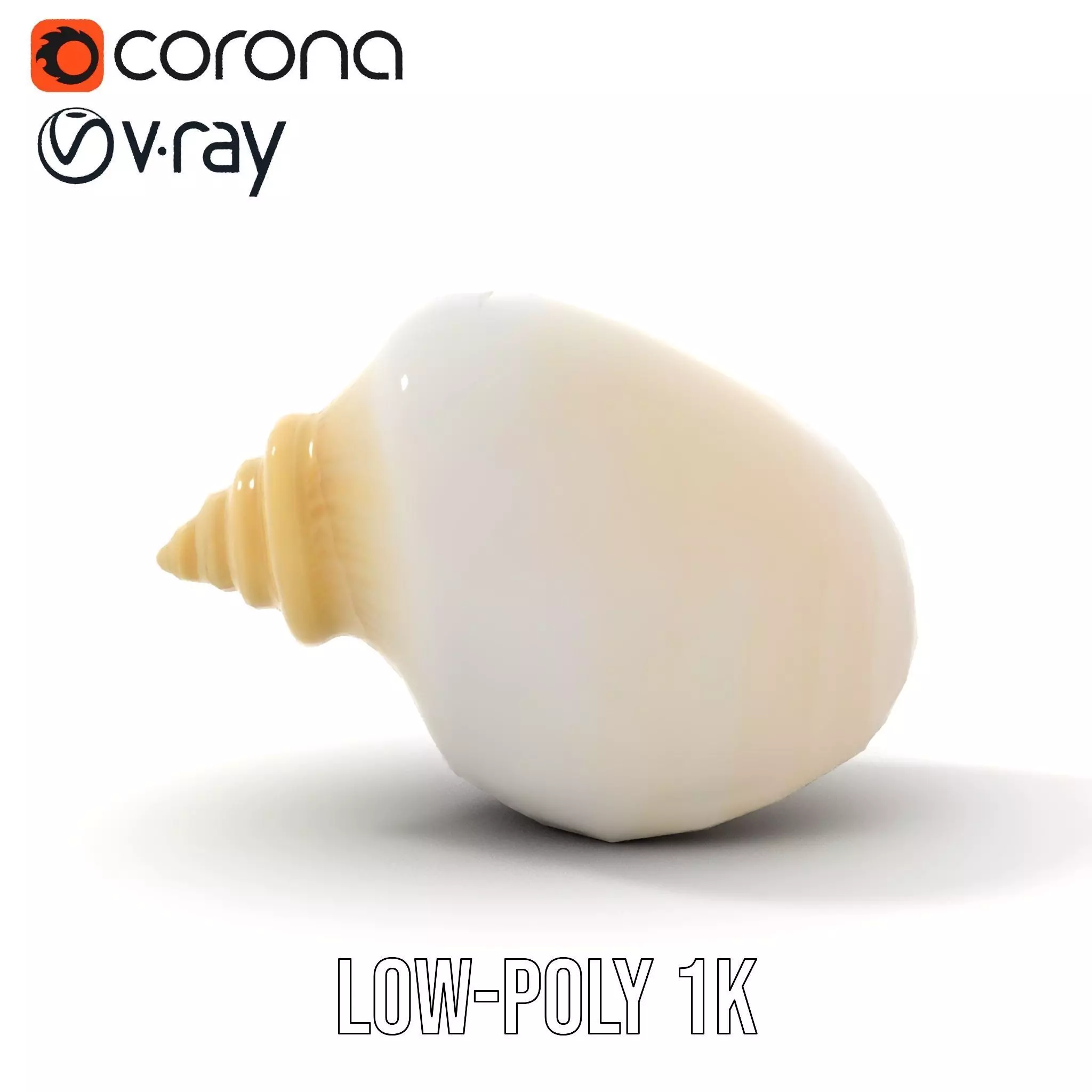 Elegant Ivory Seashell model pack Low-poly 3D model_18
