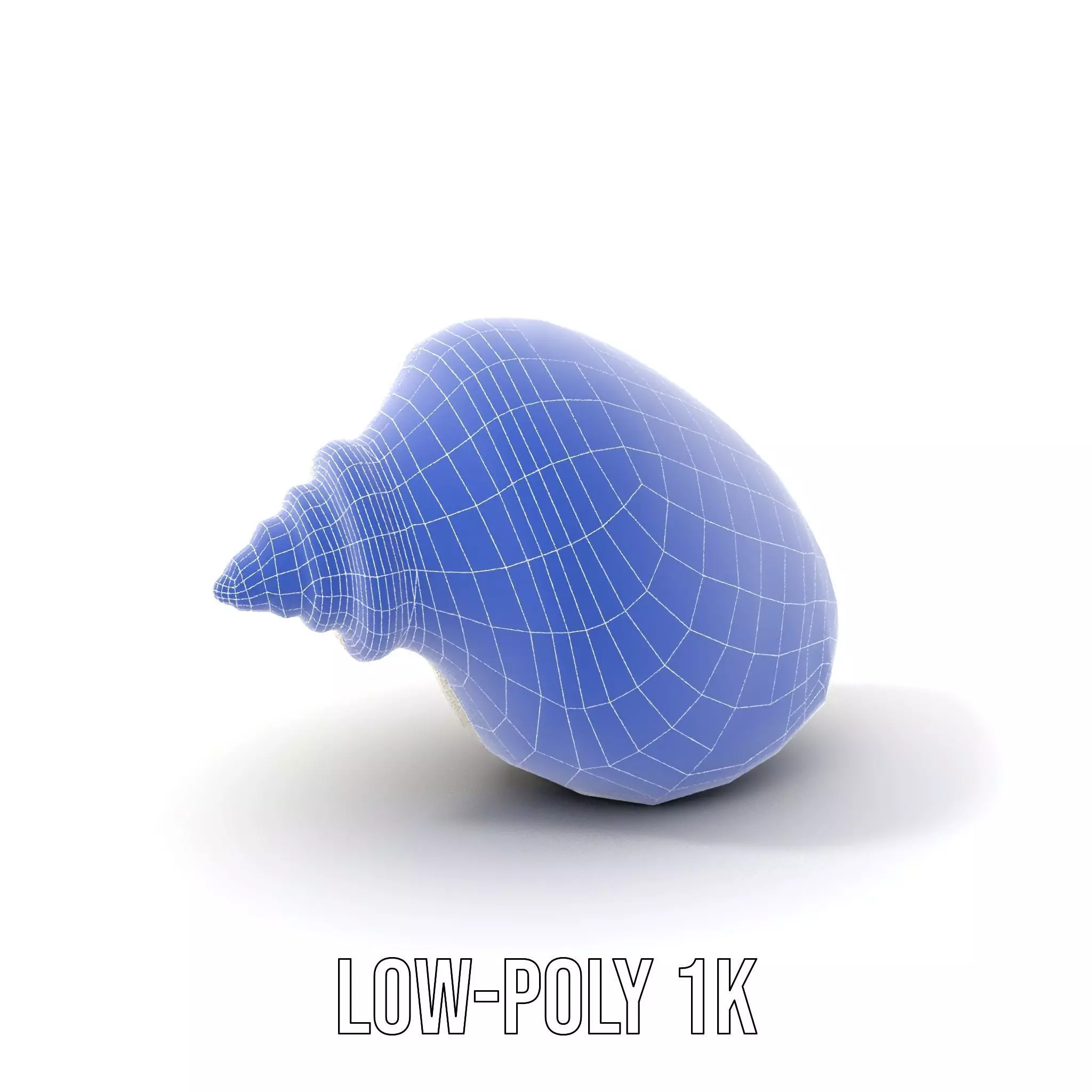 Elegant Ivory Seashell model pack Low-poly 3D model_13