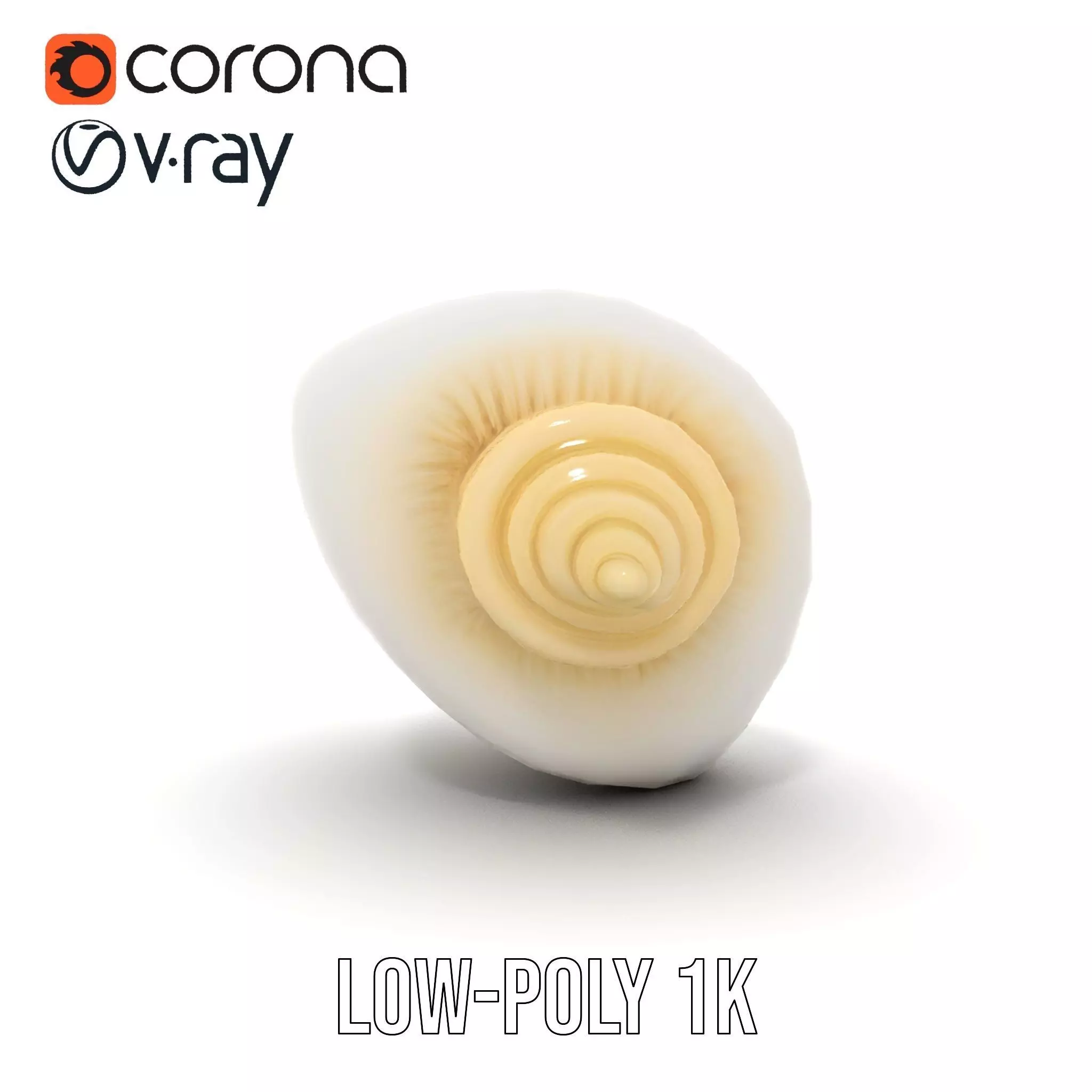 Elegant Ivory Seashell model pack Low-poly 3D model_10