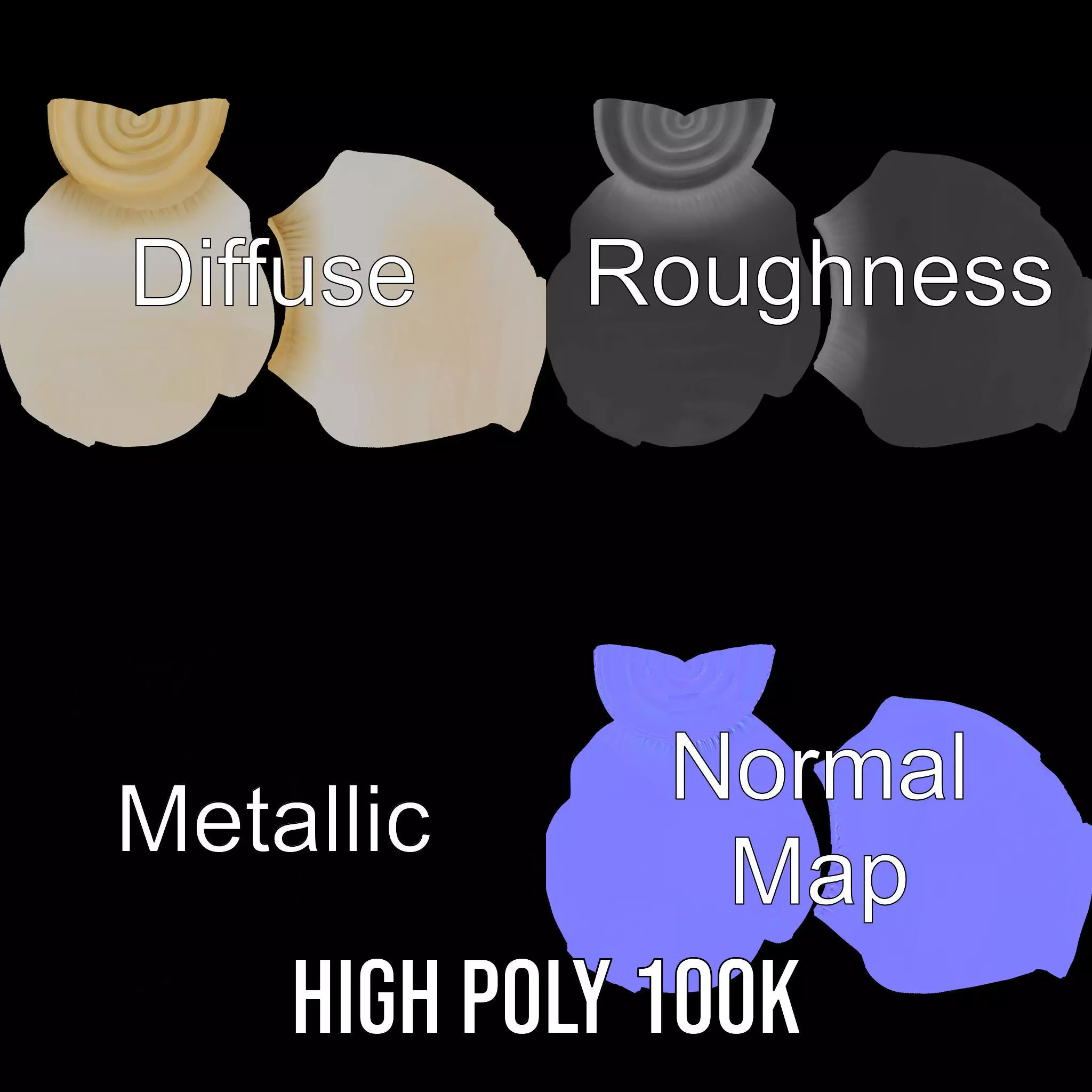 Elegant Ivory Seashell model pack Low-poly 3D model_4