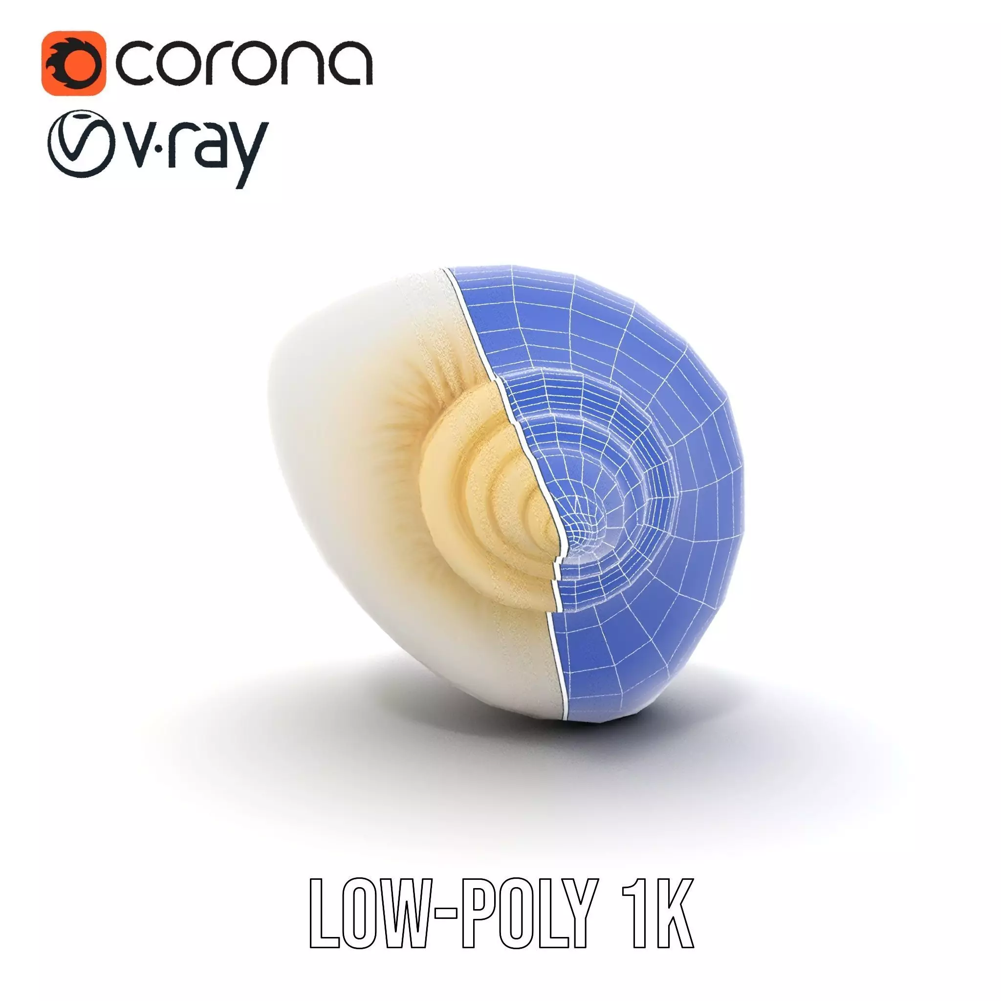 Elegant Ivory Seashell model pack Low-poly 3D model_32