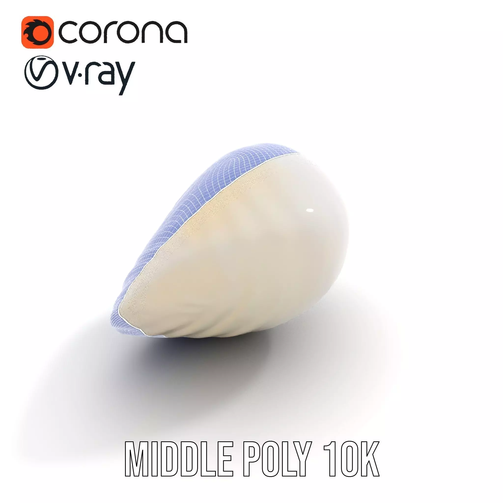Elegant Ivory Seashell model pack Low-poly 3D model_28