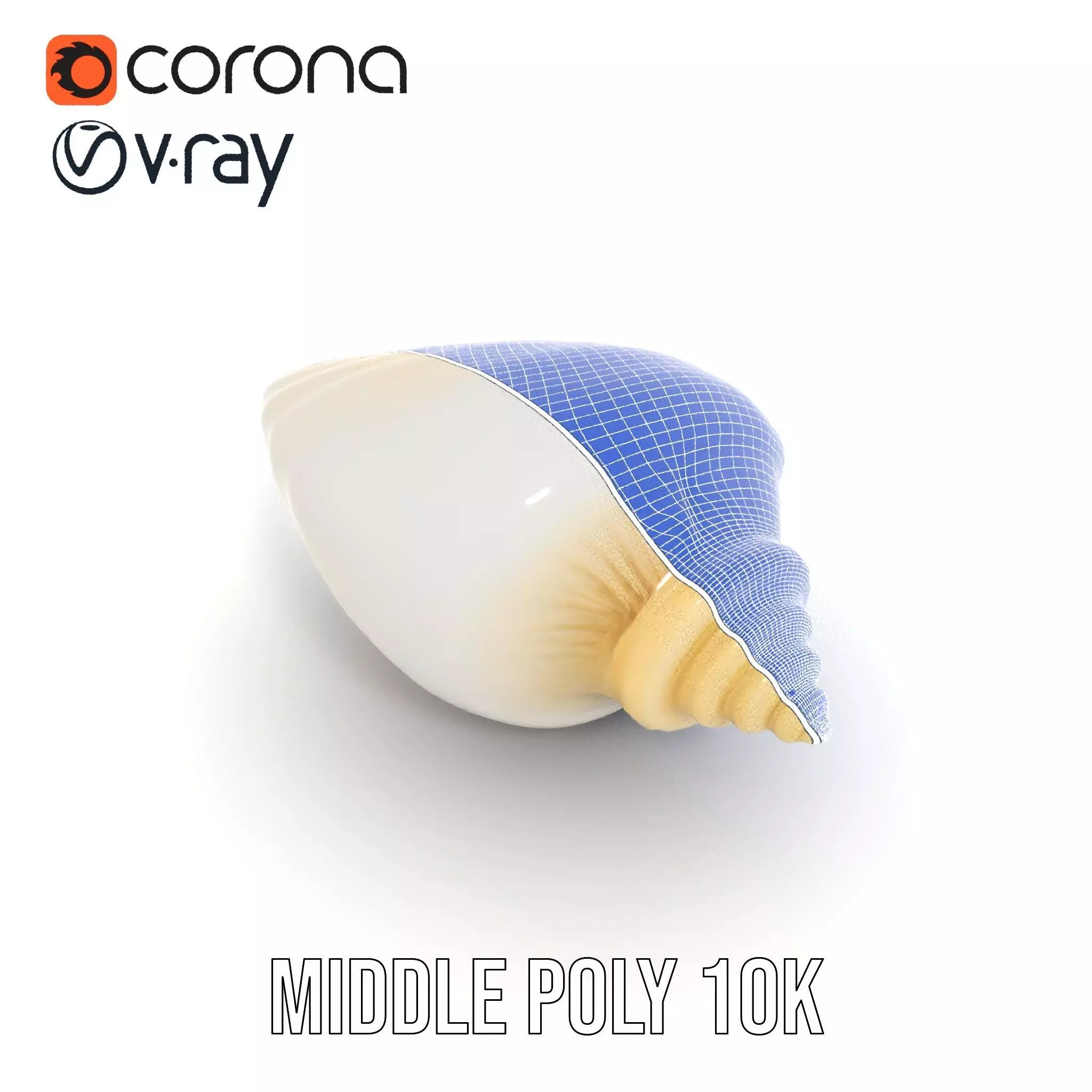 Elegant Ivory Seashell model pack Low-poly 3D model_22