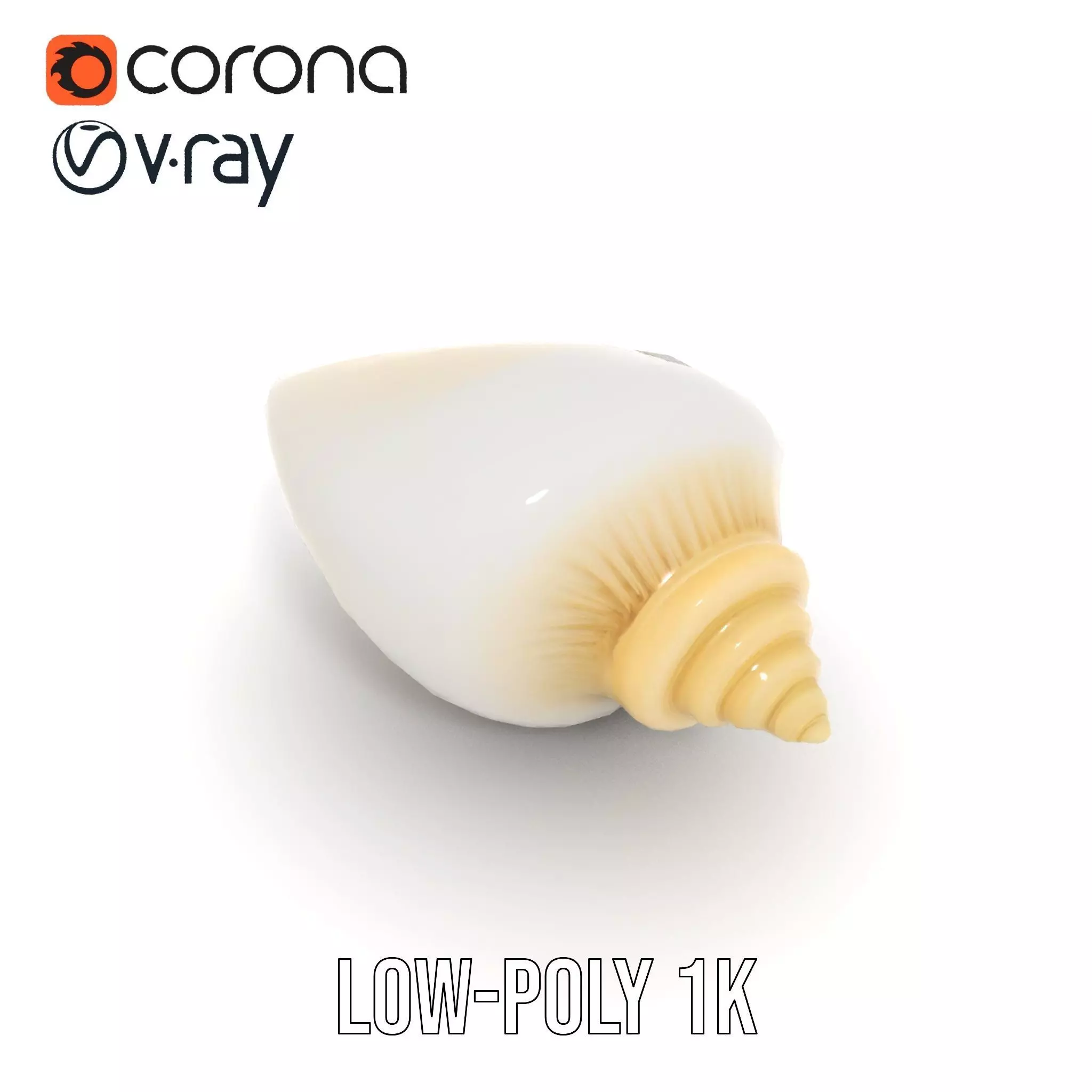 Elegant Ivory Seashell model pack Low-poly 3D model_21