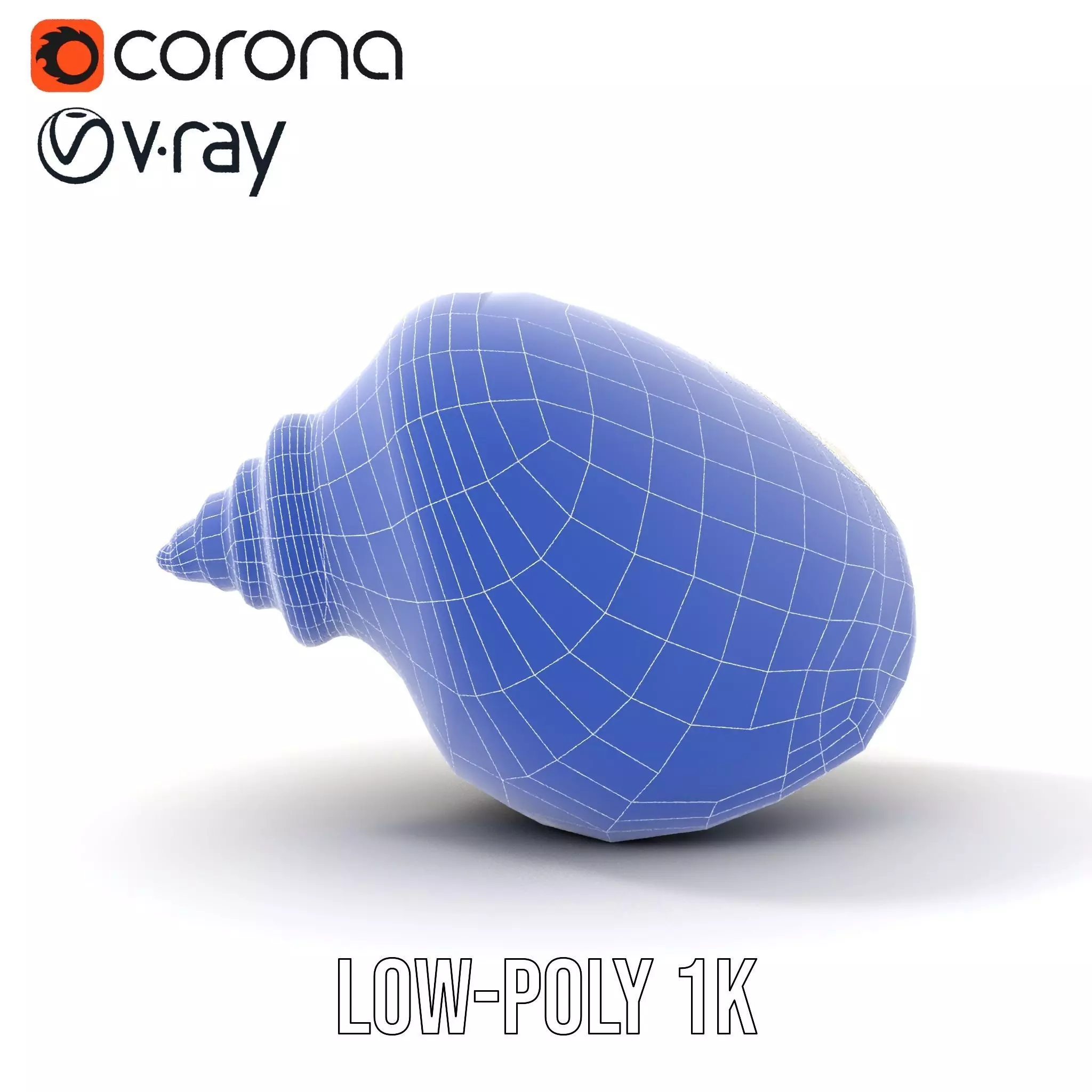 Elegant Ivory Seashell model pack Low-poly 3D model_29