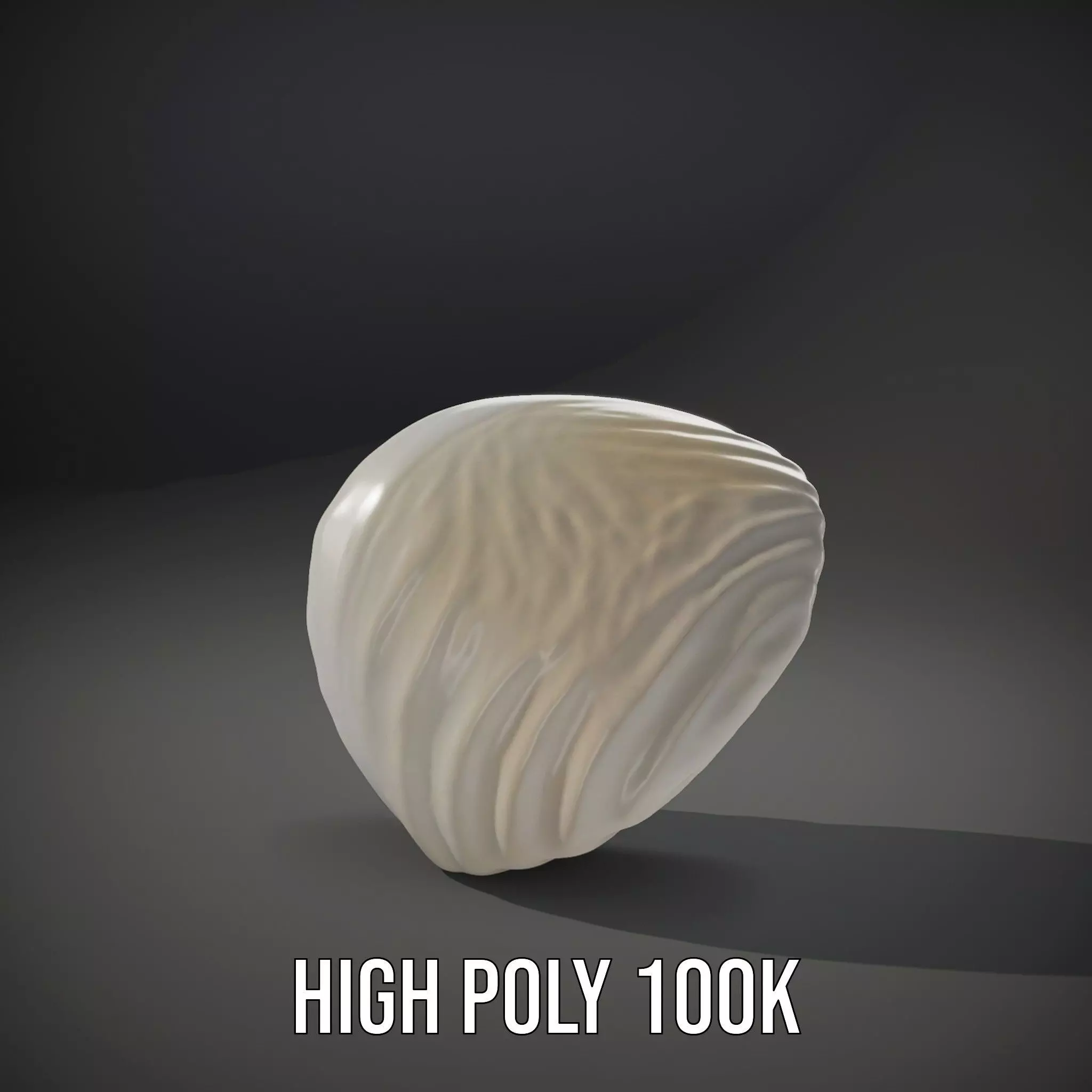 Elegant Ivory Seashell model pack Low-poly 3D model_11
