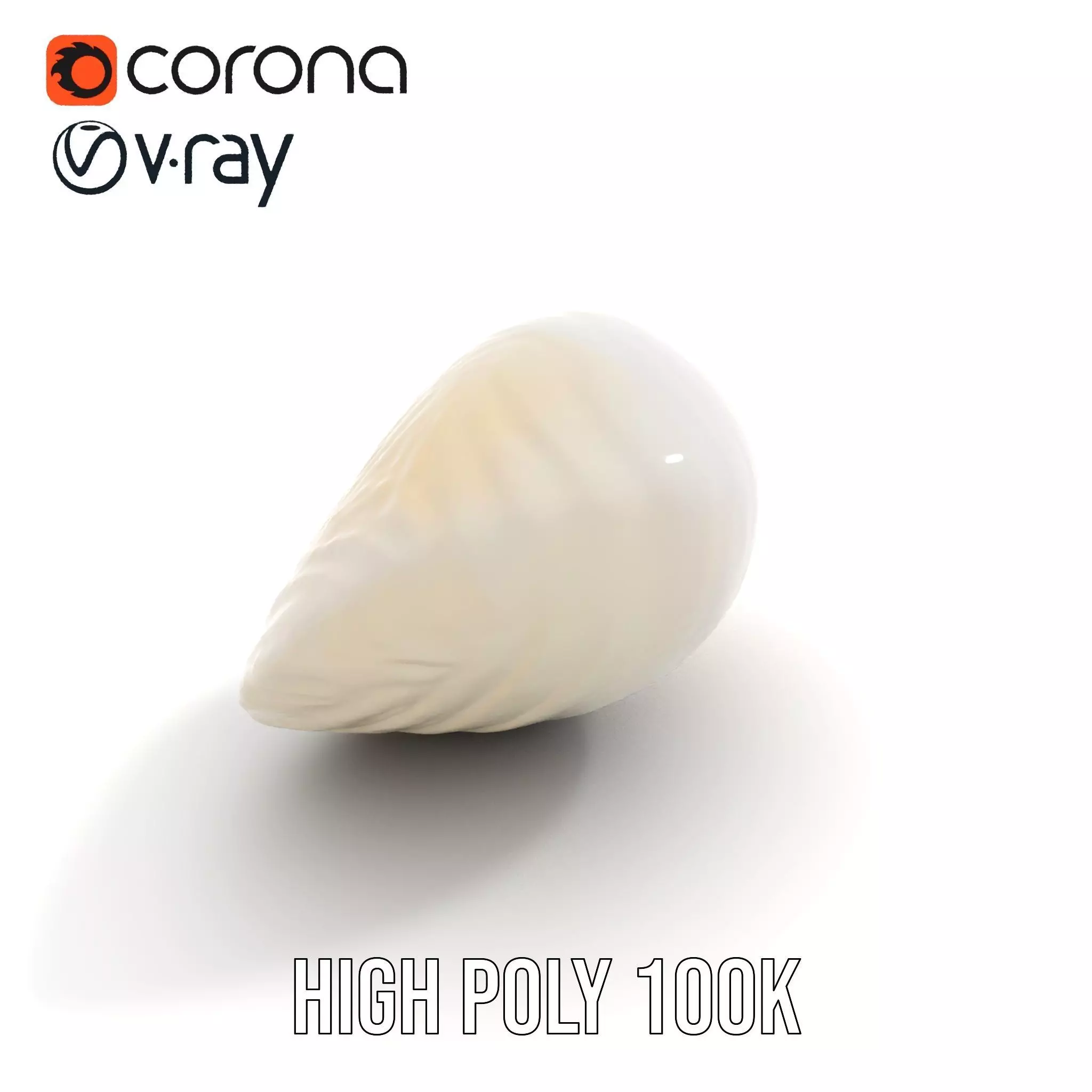 Elegant Ivory Seashell model pack Low-poly 3D model_19
