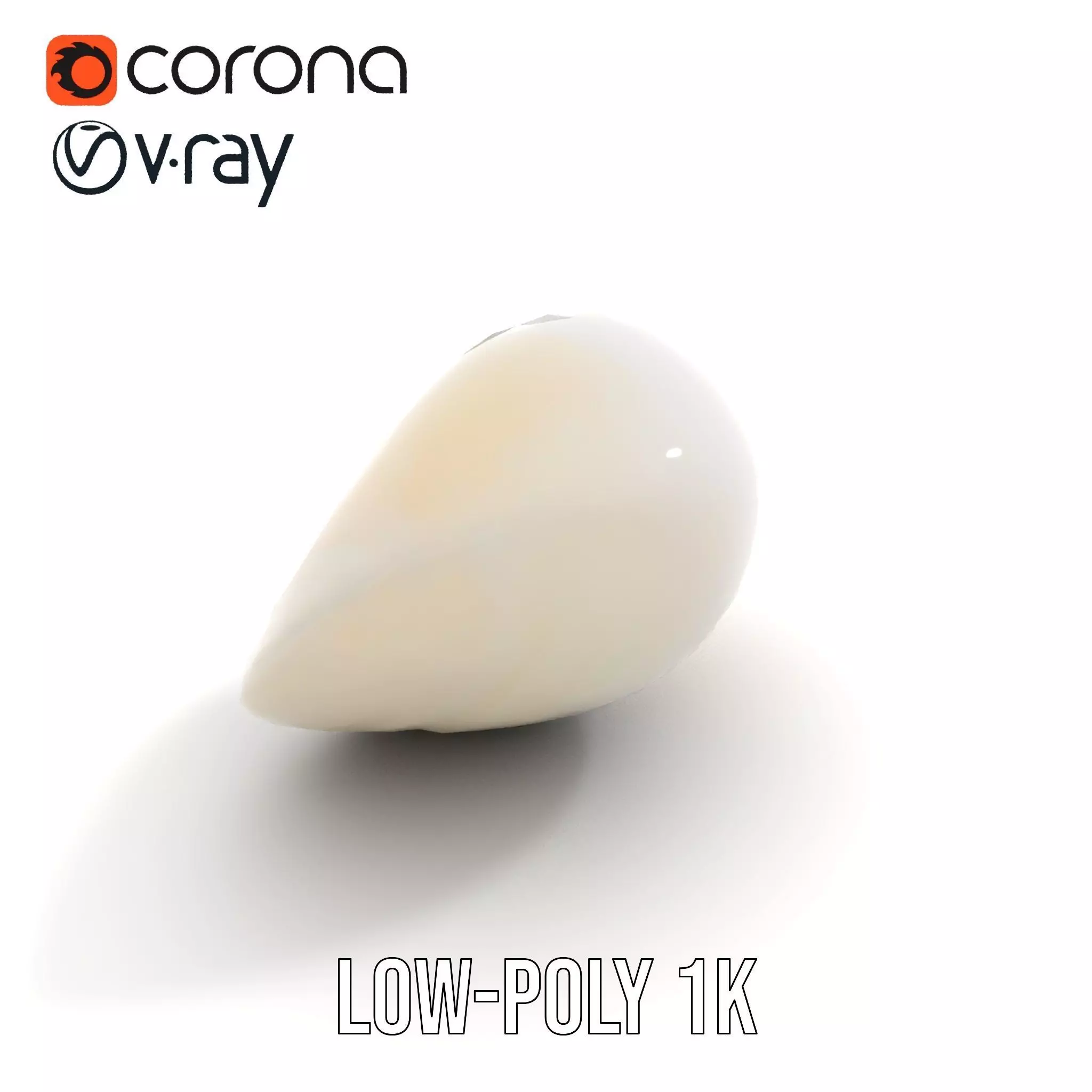 Elegant Ivory Seashell model pack Low-poly 3D model_23