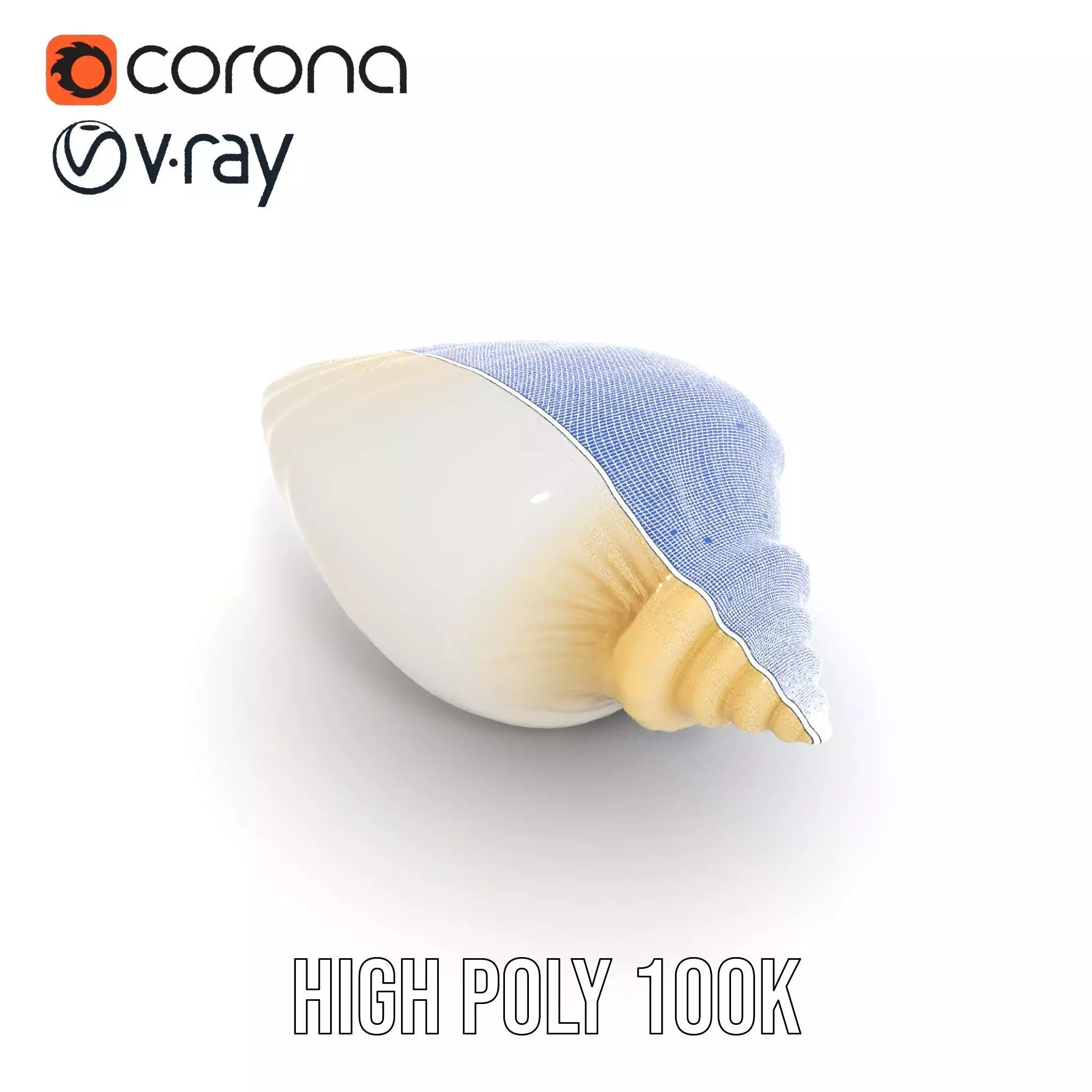 Elegant Ivory Seashell model pack Low-poly 3D model_34